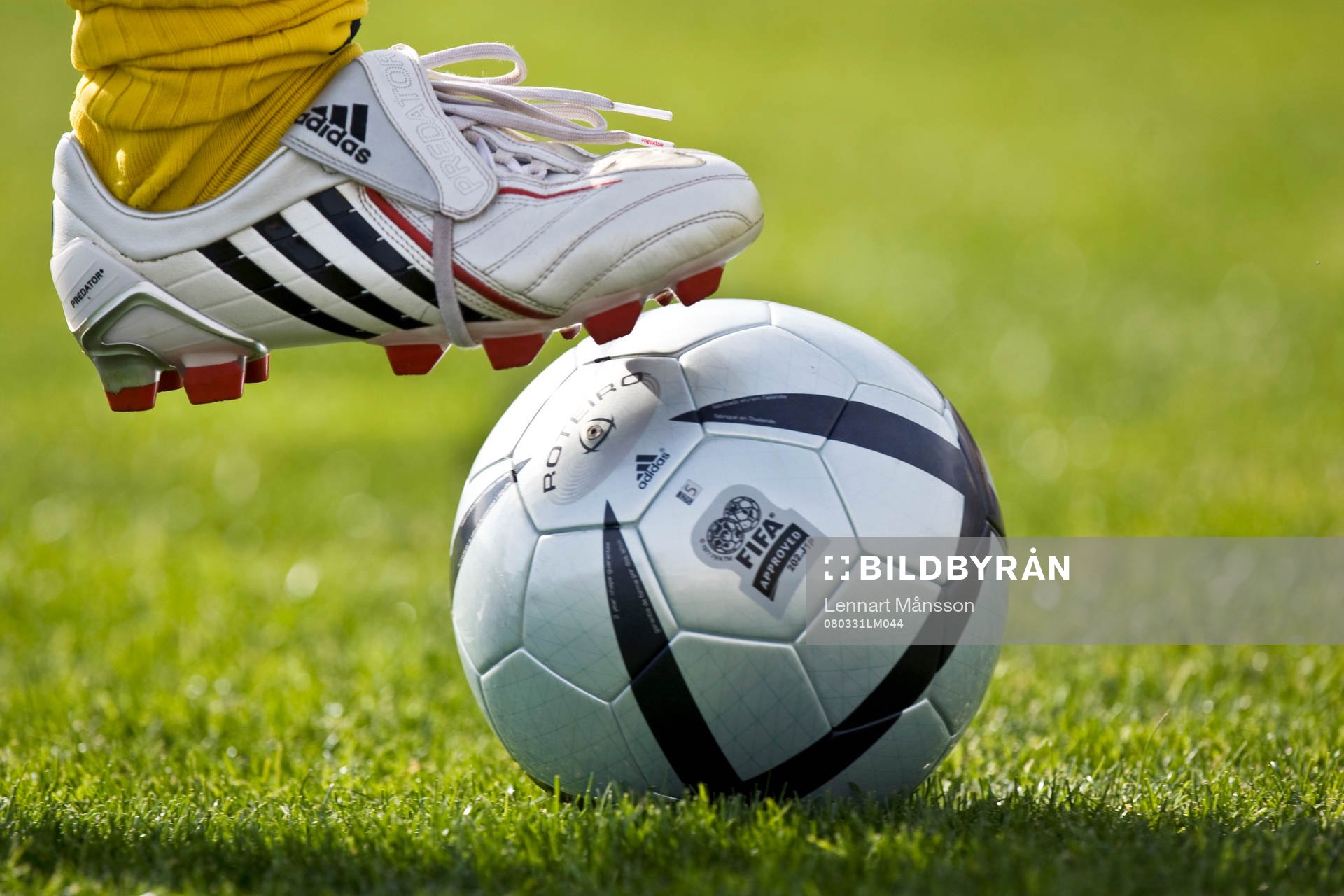 Fot, boll, gräsmatta, fotbollsskor, Adidas. Genre