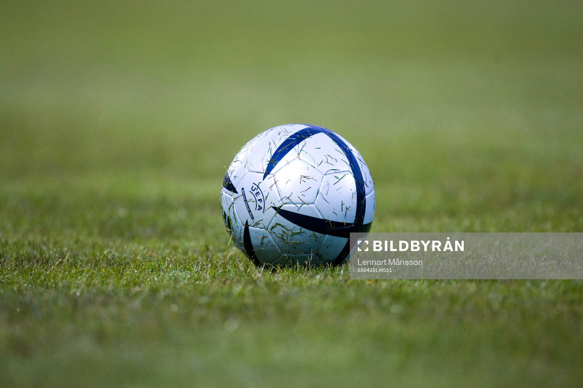 Boll, fotboll gräsmatta