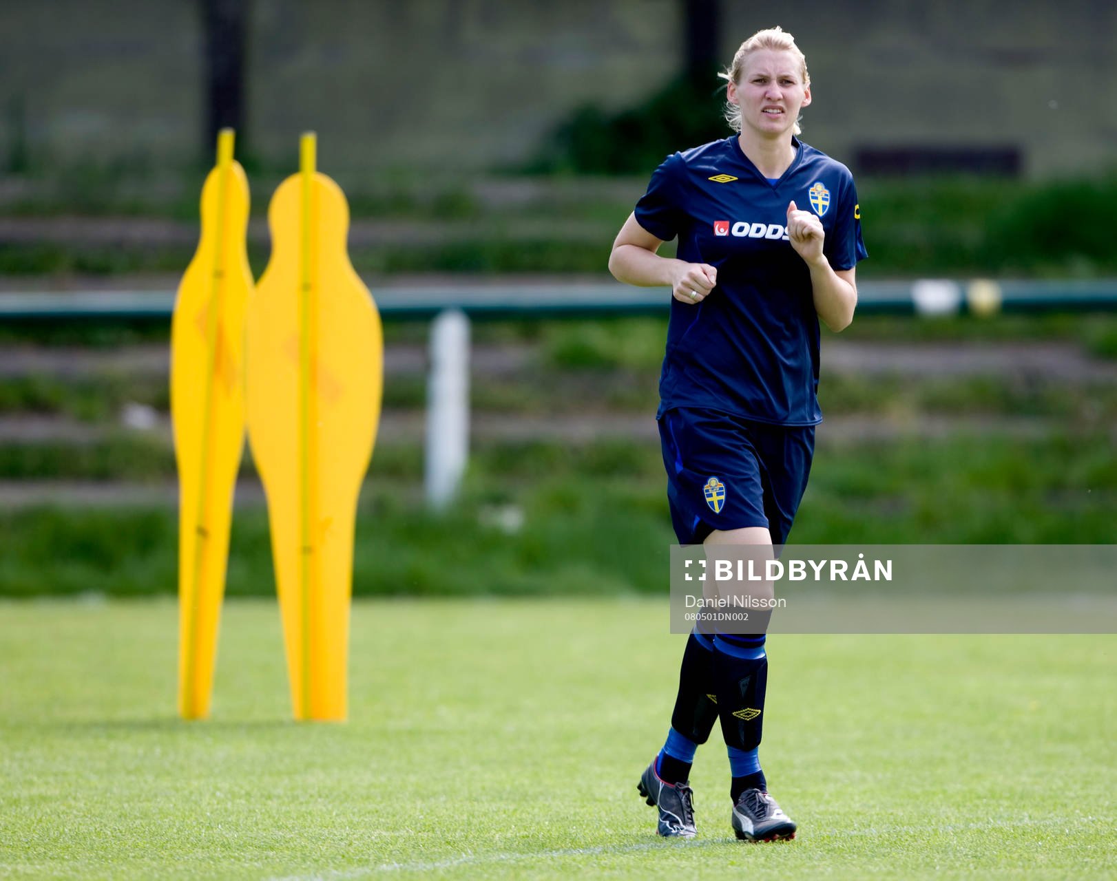 Maria Aronsson, Sverige