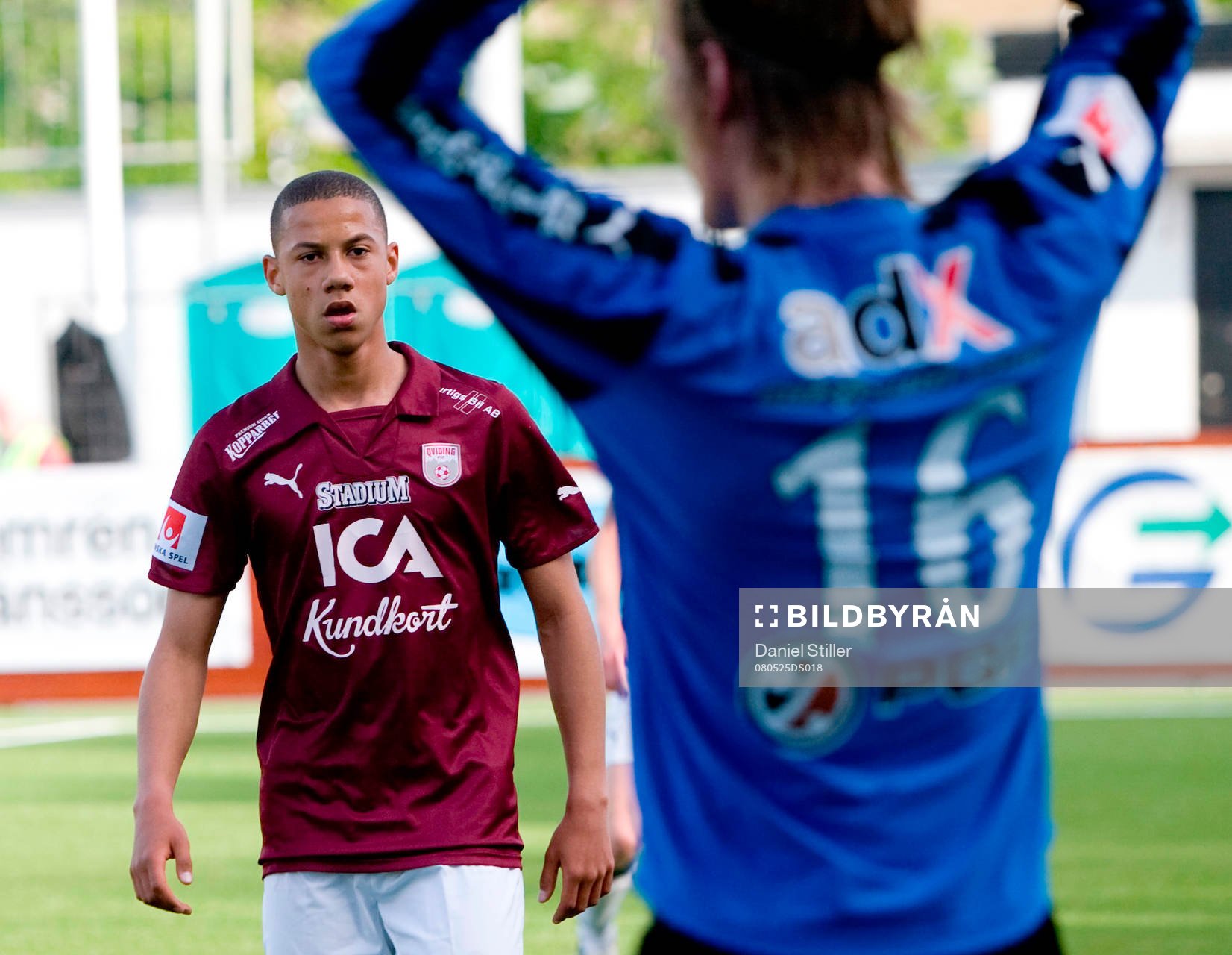 Tobias Sana, Qviding