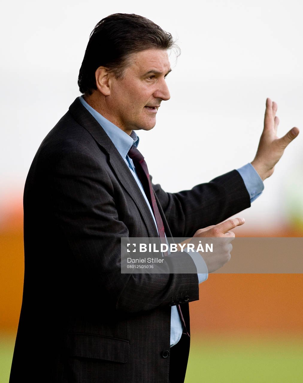 Zoran Lucic, tränare Qviding