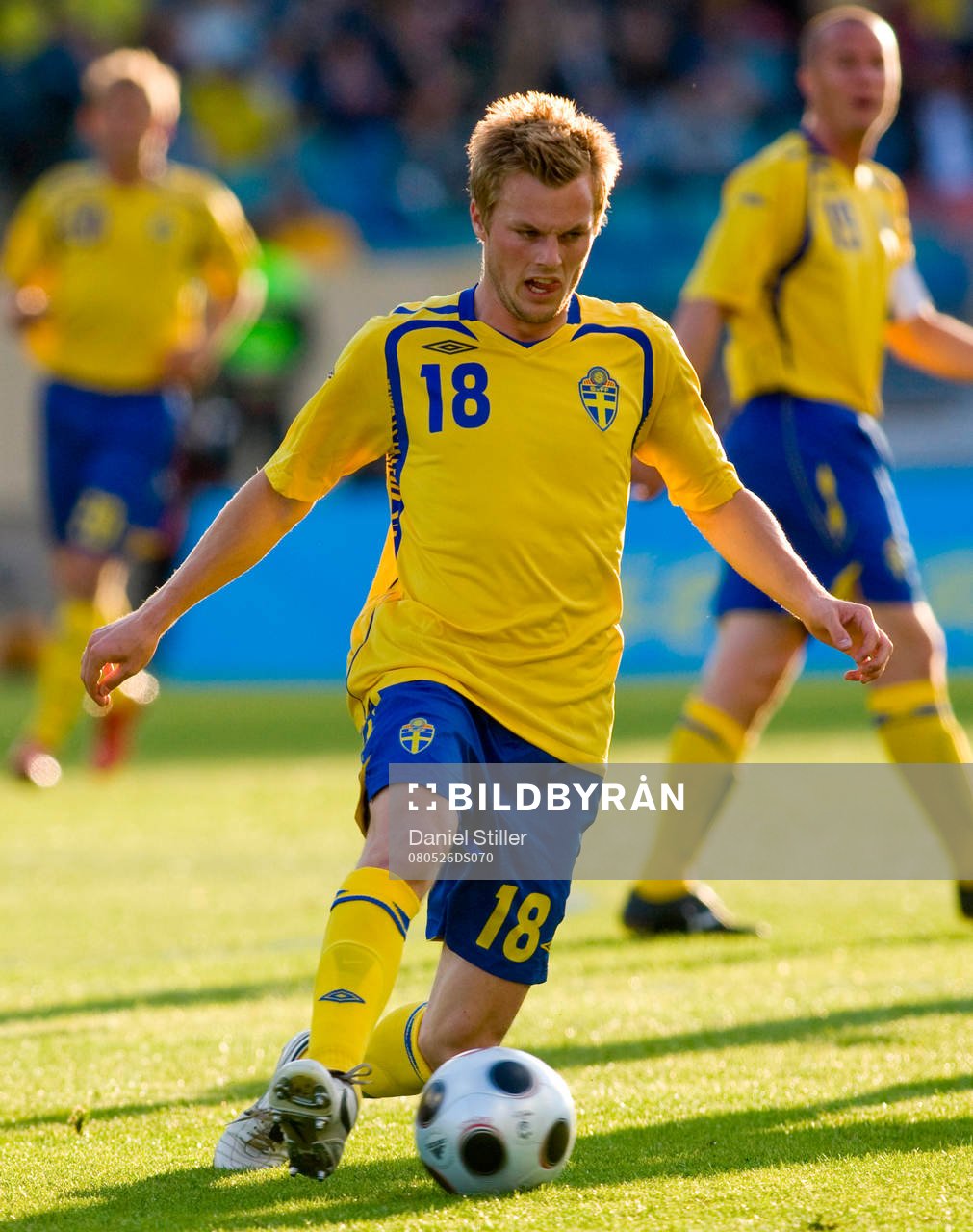 Sebastian Larsson, Sverige