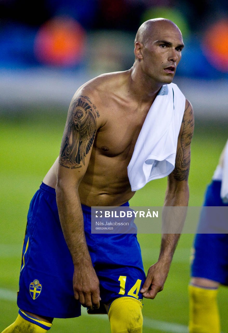 Daniel Majstorovic, Sverige
