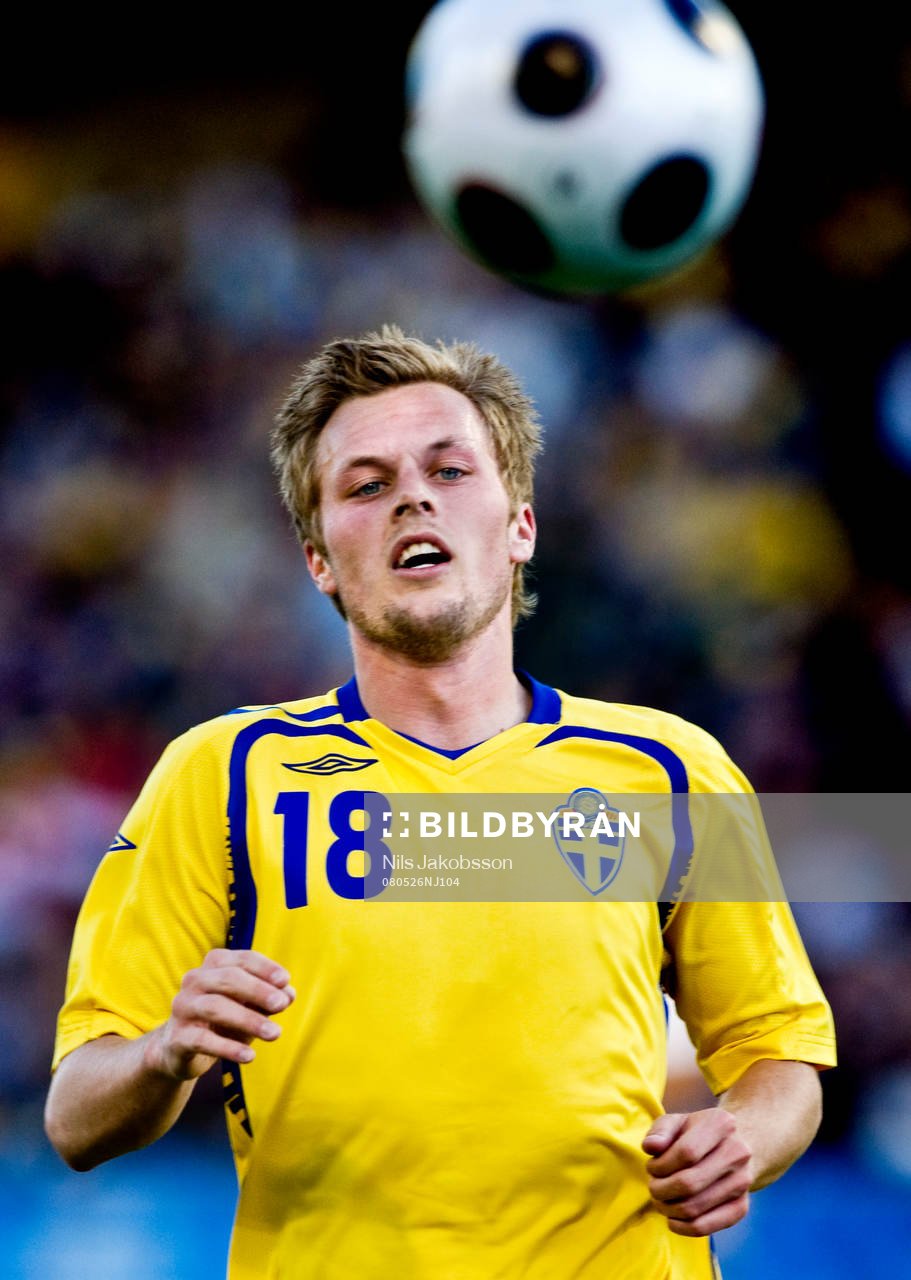 Sebastian Larsson, Sverige