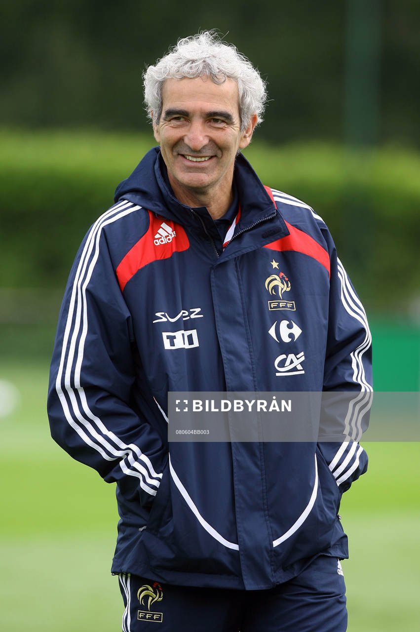 Raymond Domenech, förbundskapten