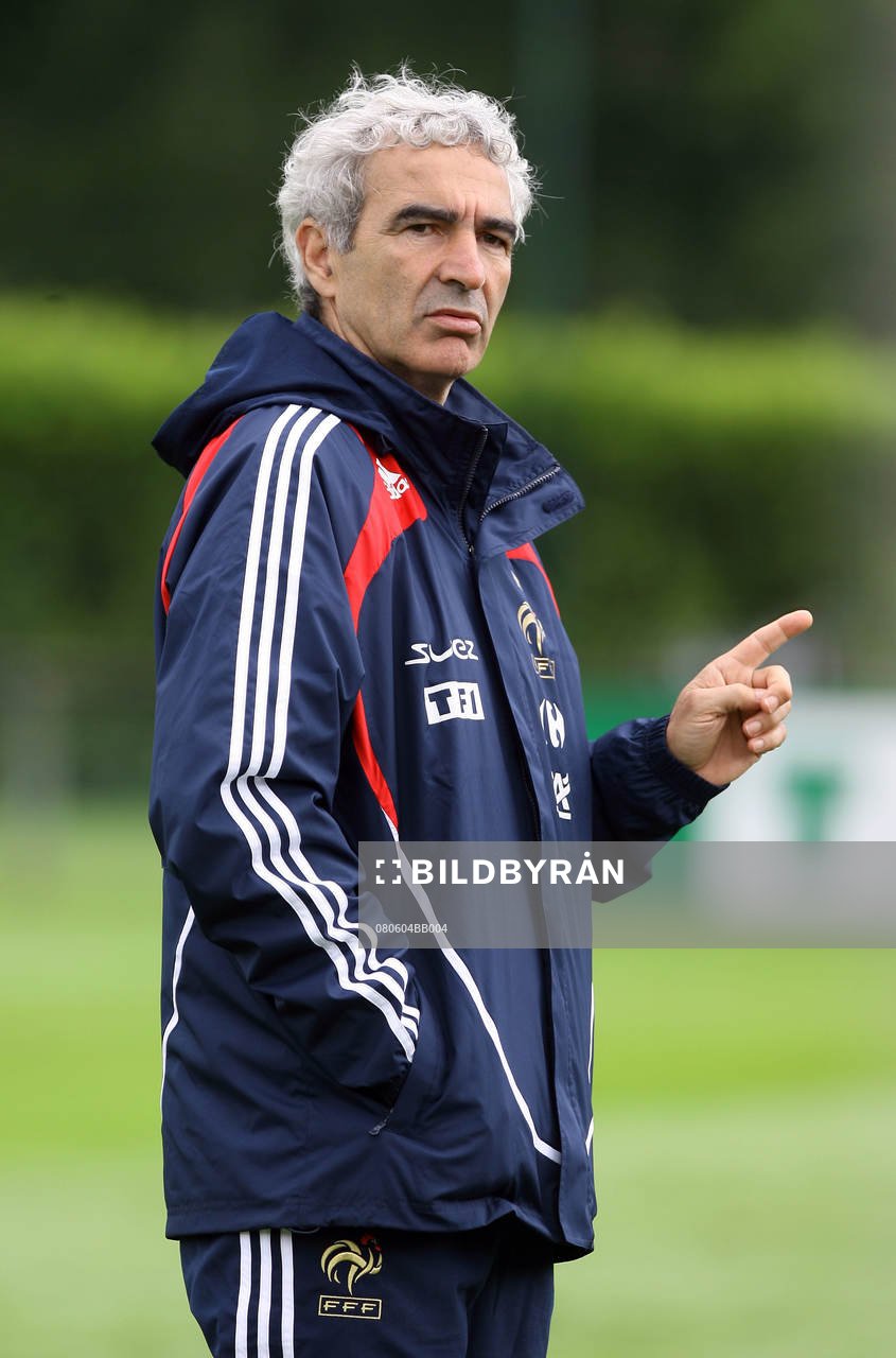 Raymond Domenech, förbundskapten