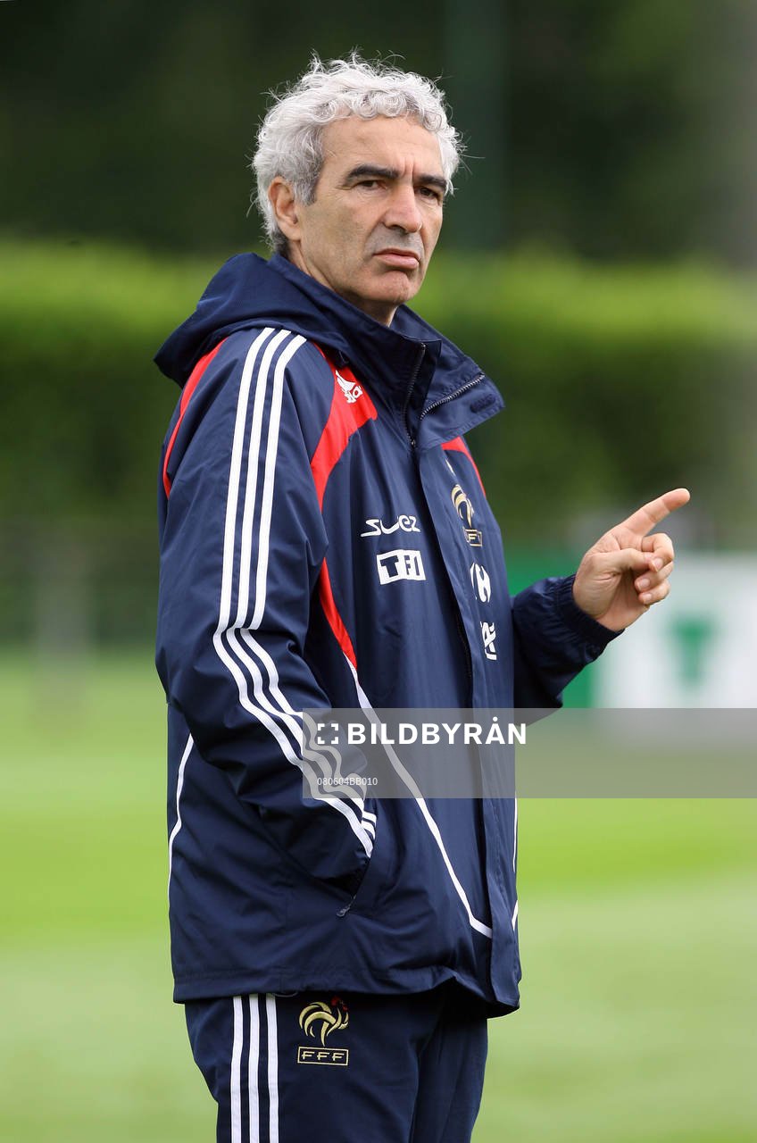 Raymond Domenech, förbundskapten