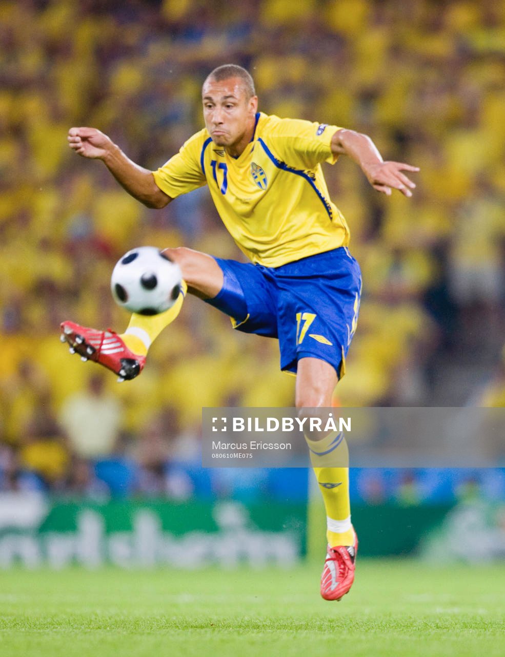 Henrik Larsson, Sverige