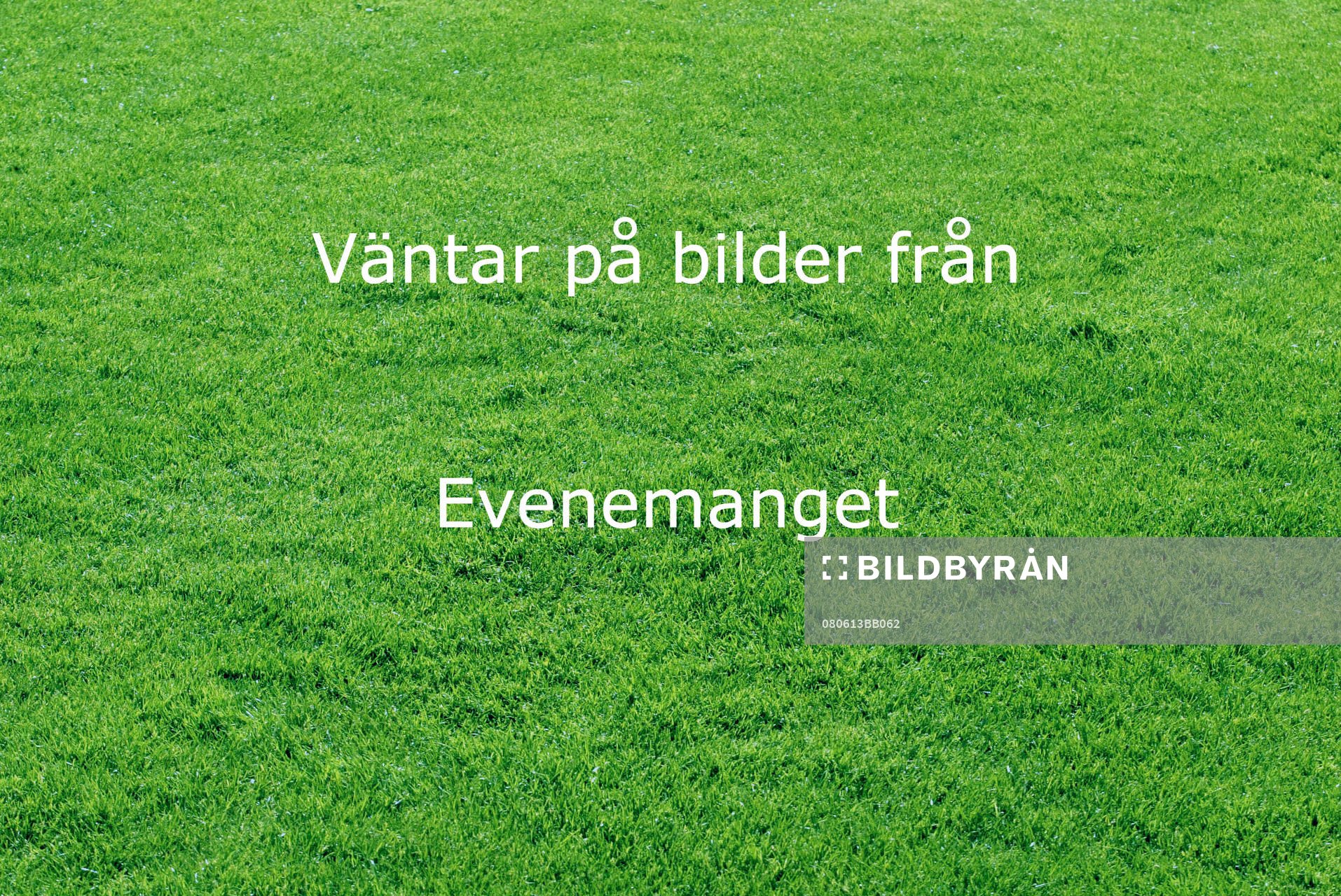 Fotboll, EM, Holland v Frankrike