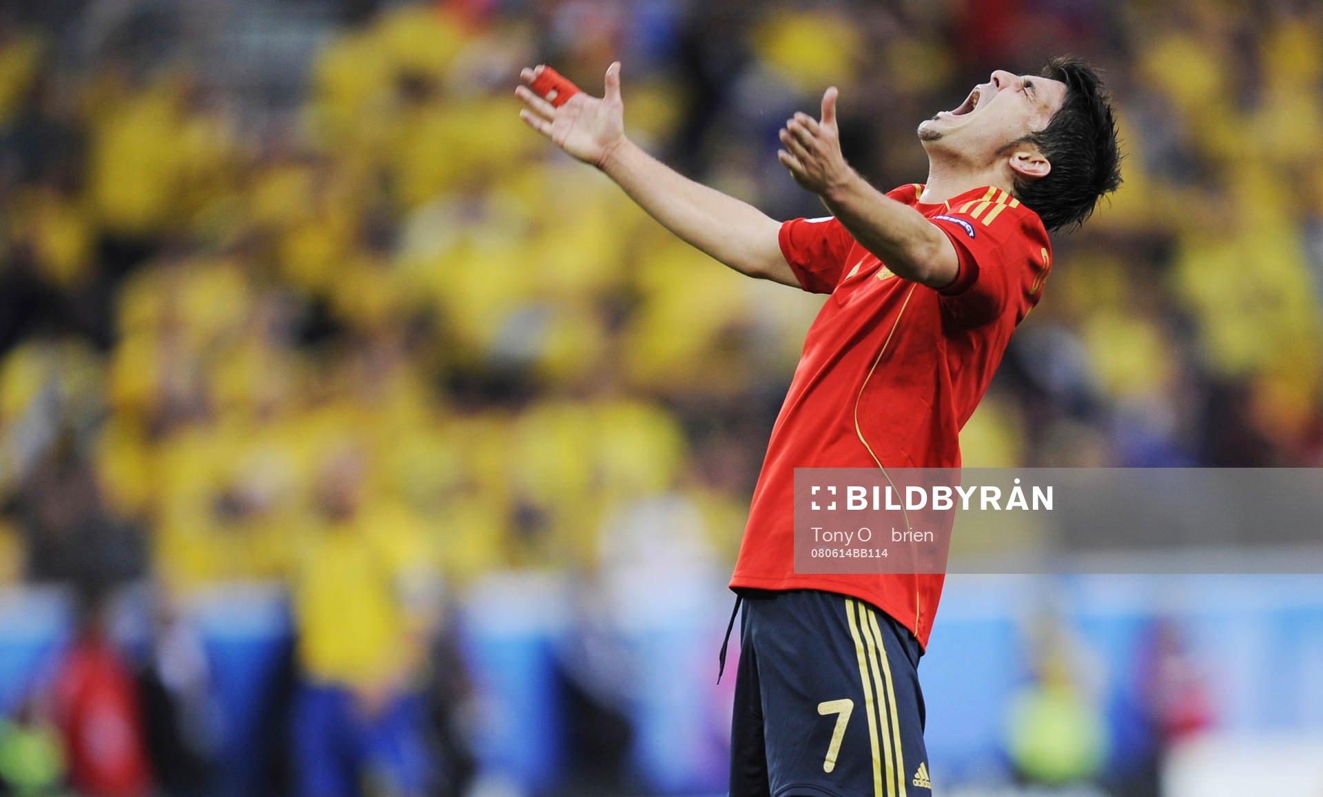  David Villa jubel efter avgörande målet.