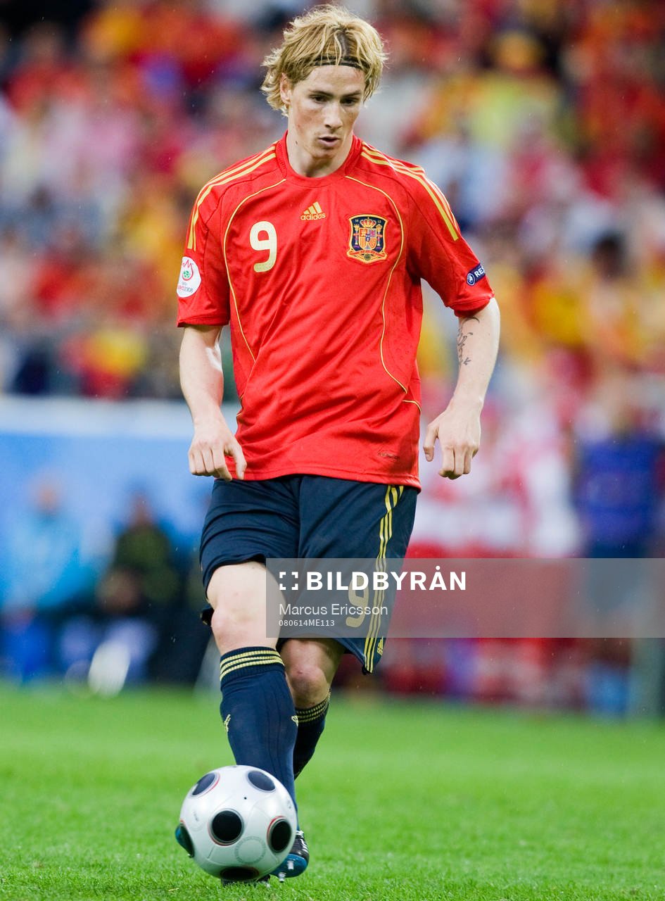 Fernando Torres, Spanien