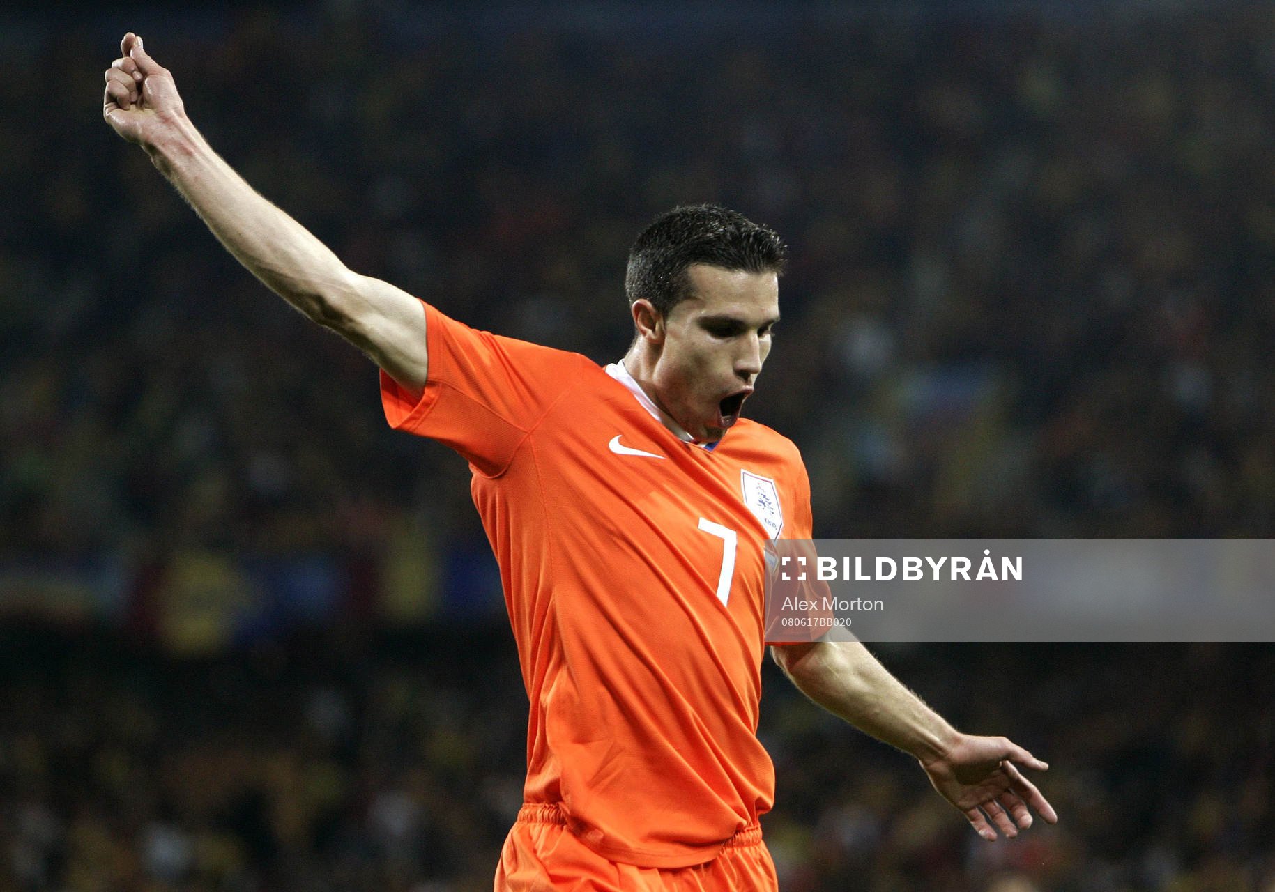 Robin Van Persie, jubel