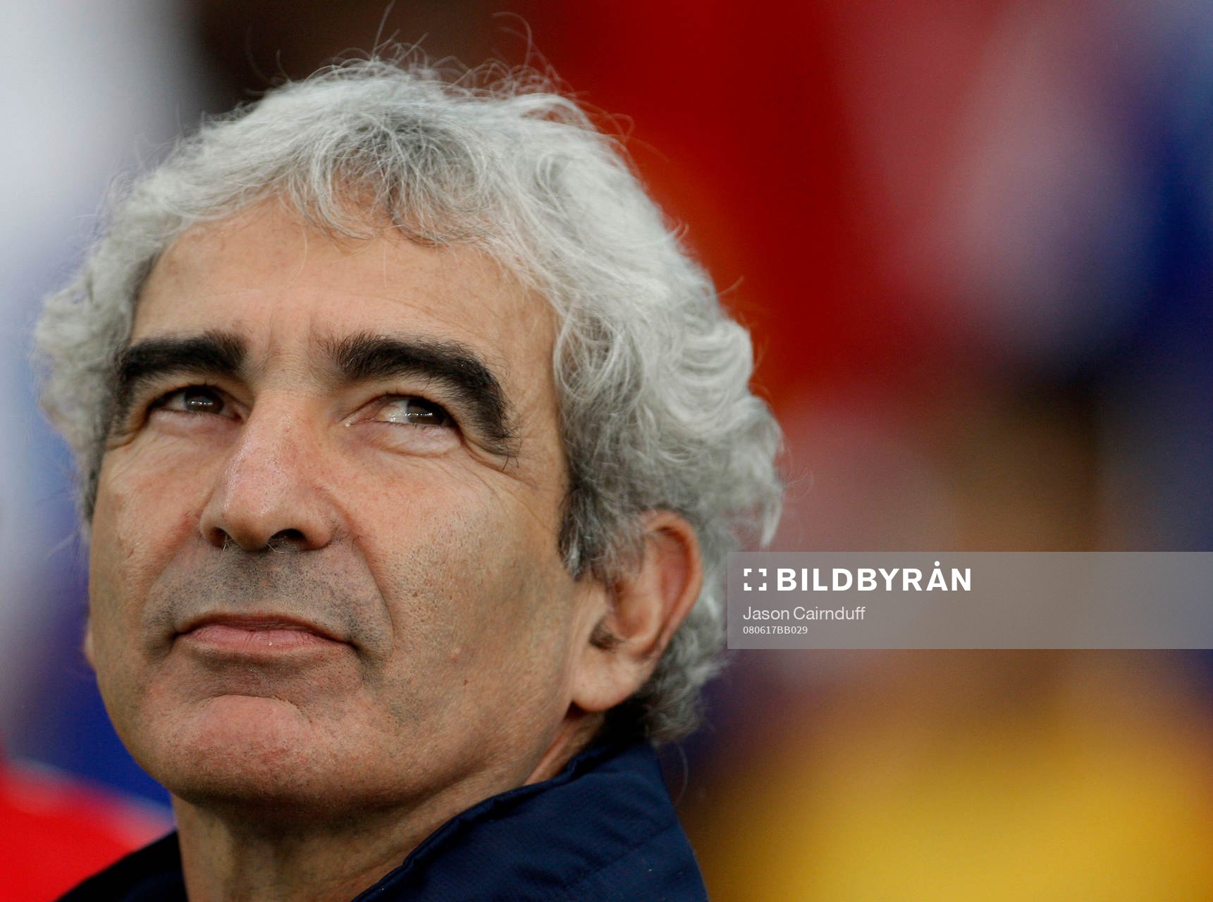 Raymond Domenech, förbundskapten