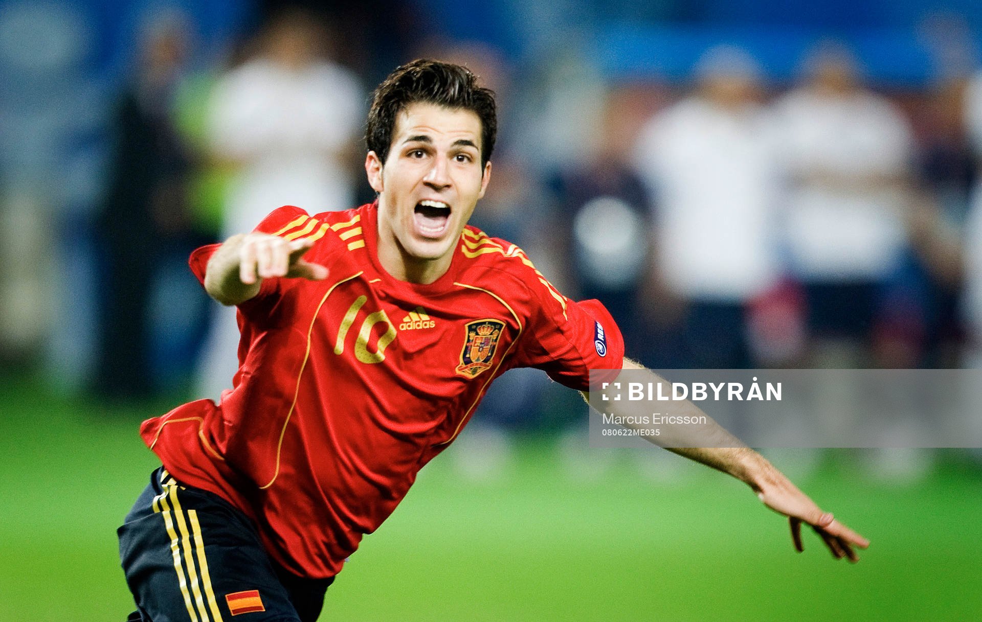Cesc Fabregas, Spanien, Glädje, jubel