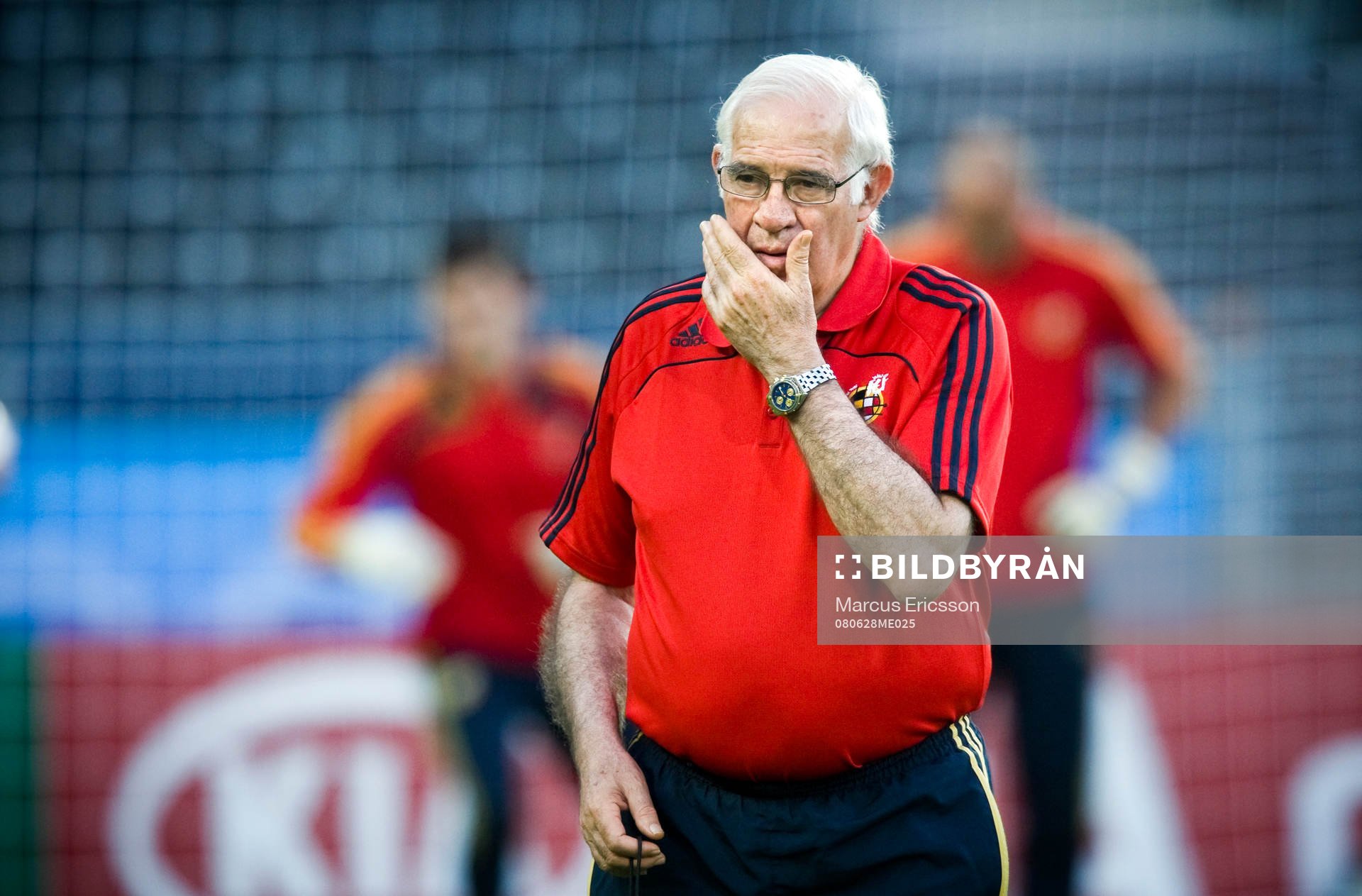 Luis Aragonés, Förbundskapten