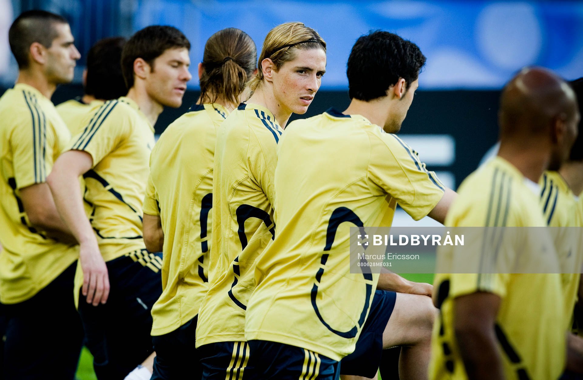 Fernando Torres