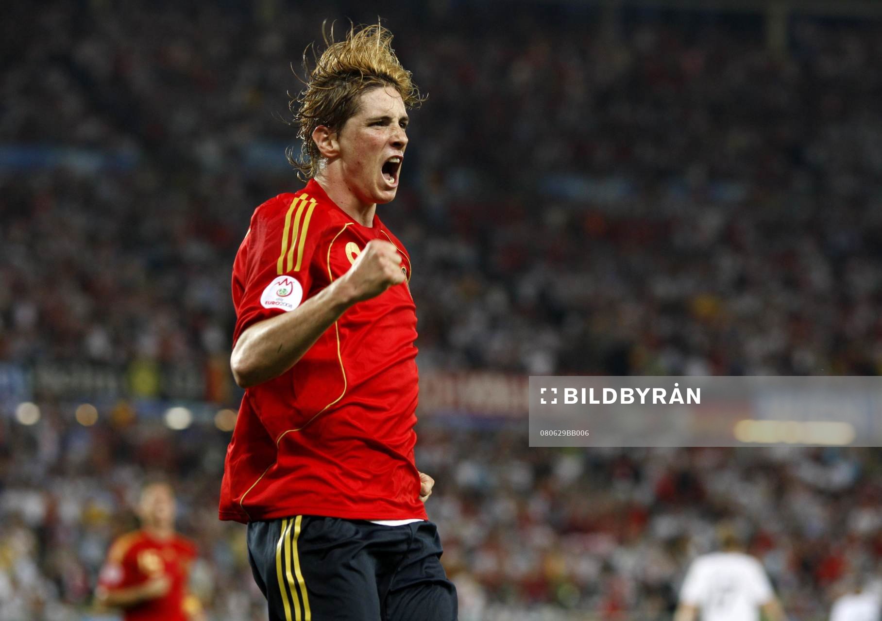 Fernando Torres, Spanien, jubel