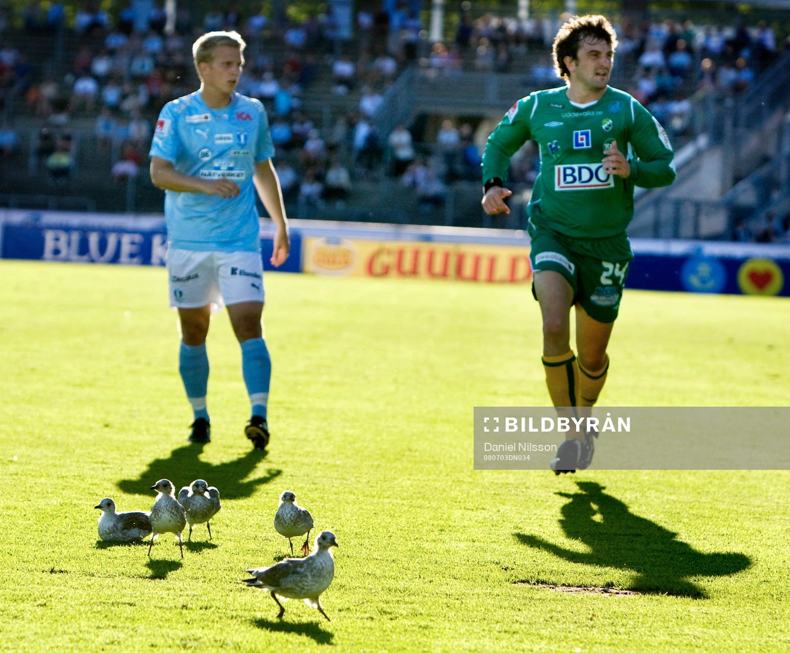 Fågel, Joakim Nilsson, Malmö och Aleksandar Kitic,