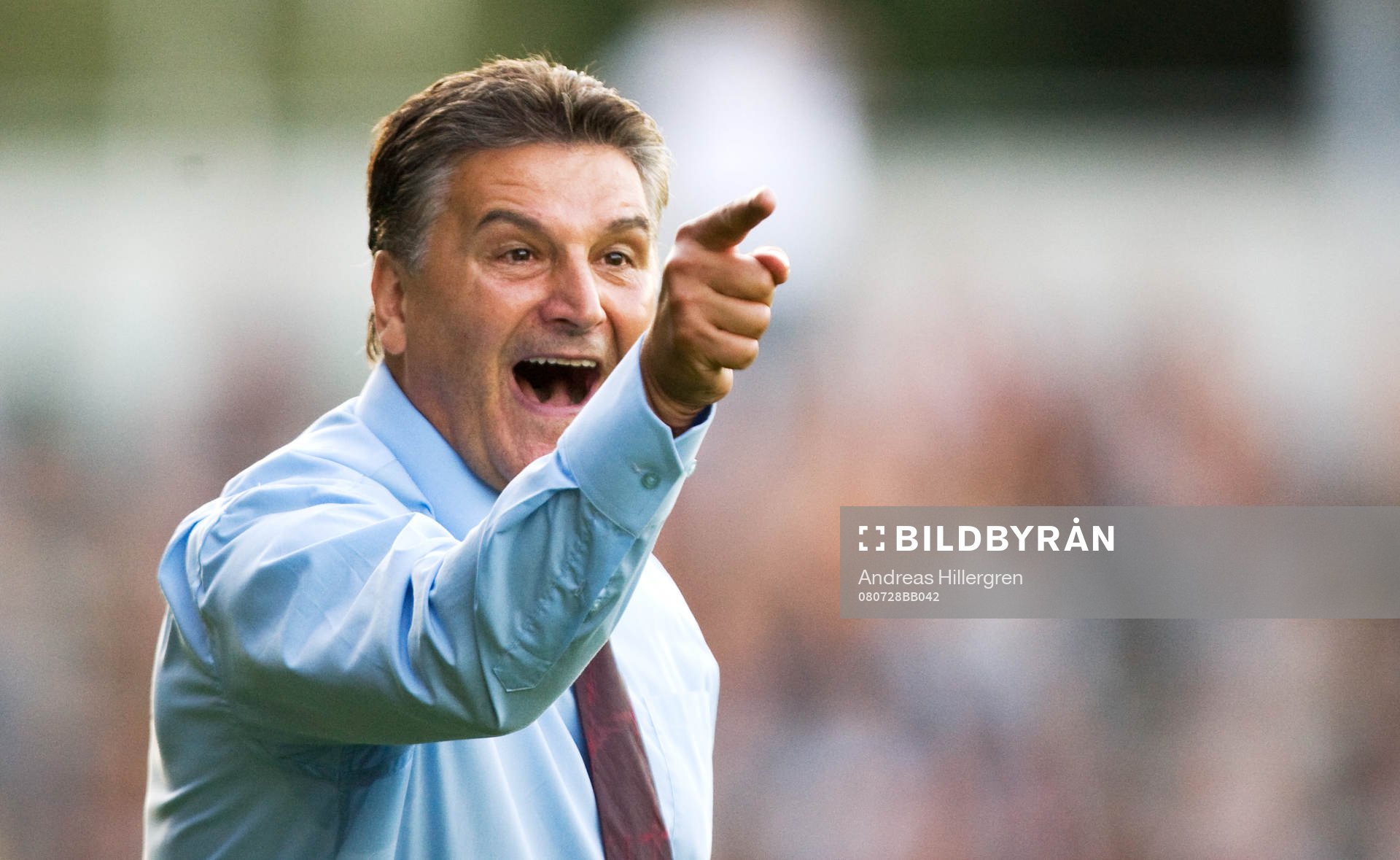 Zoran Lukic, tränare, Qviding