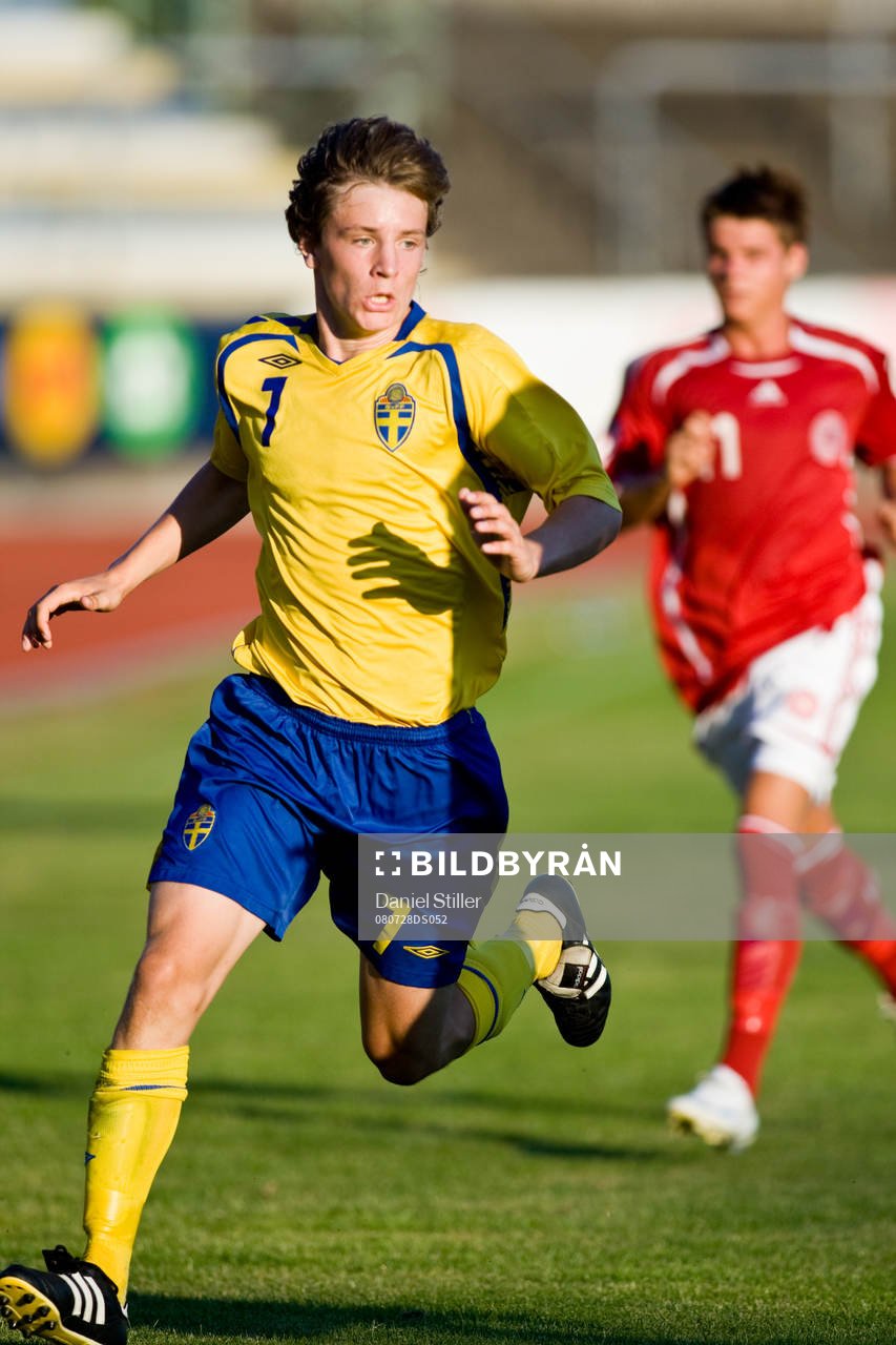 Anton Nordberg, Sverige
