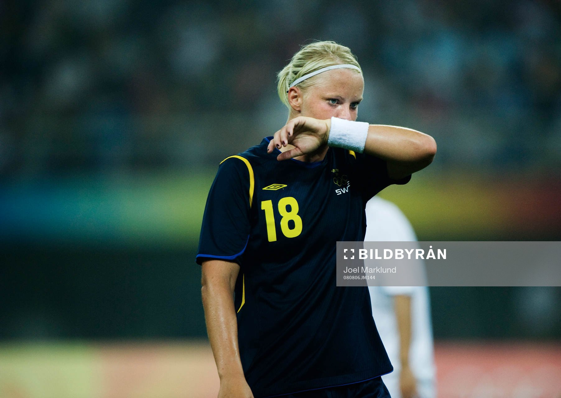 Nilla Fischer, Sverige
