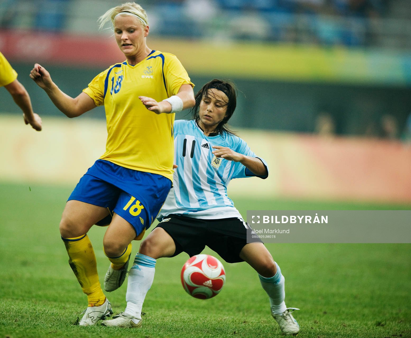 Nilla Fischer, Sverige