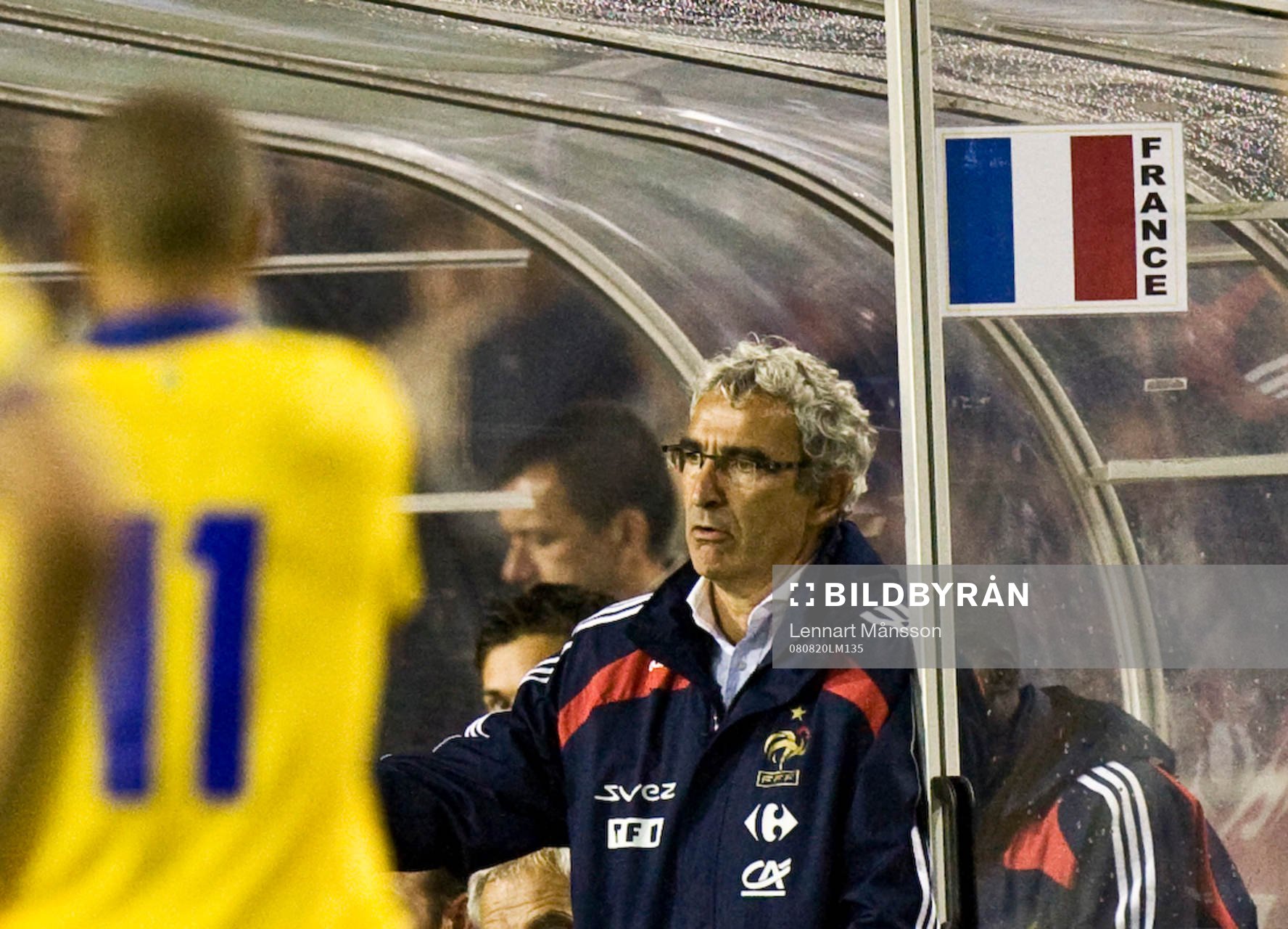   Raymond Domenech, förbundskapten.
