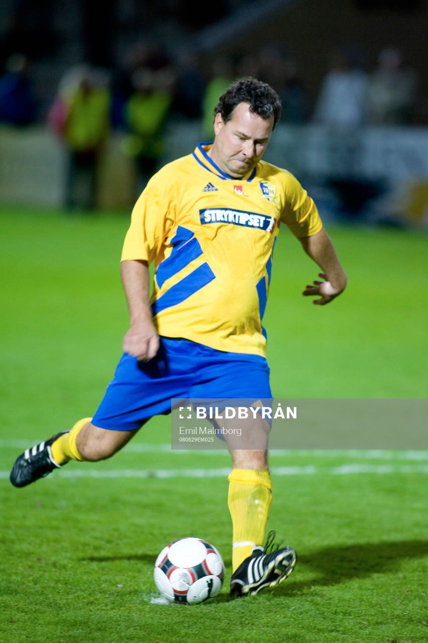 Stefan Rehn, Sverige
