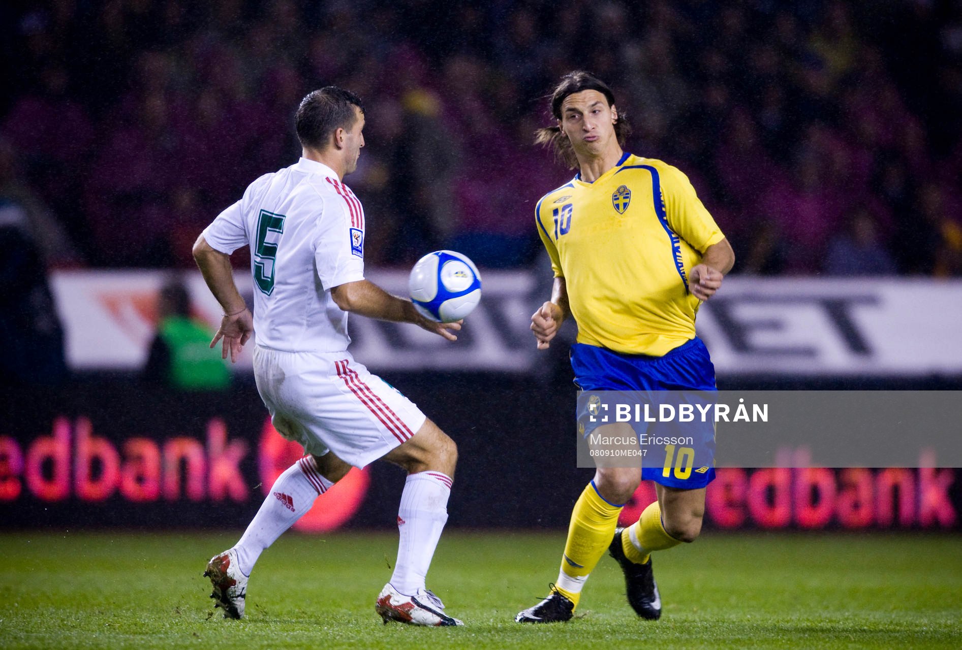 Zoltan Szelesi, Ungern och Zlatan Ibrahimovic