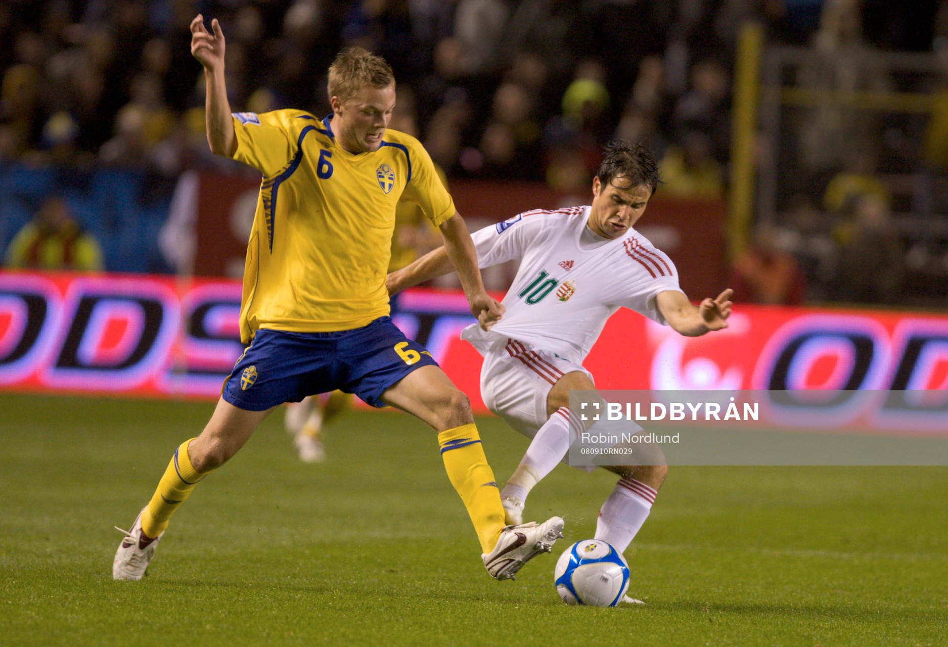 Sebastian Larsson, Sverige och Tamás Hajnal, Ungern