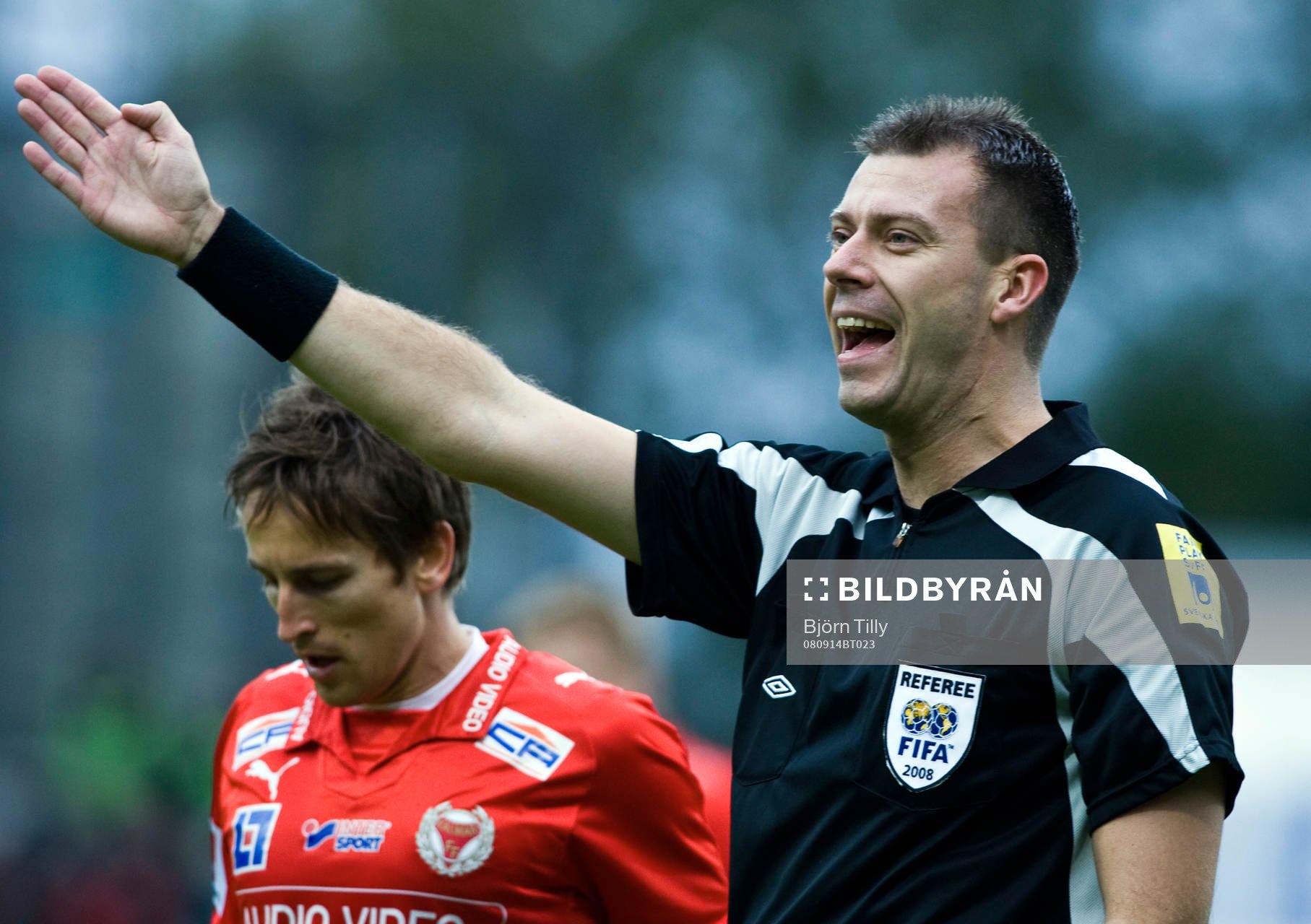 Daniel Stålhammar, Domare