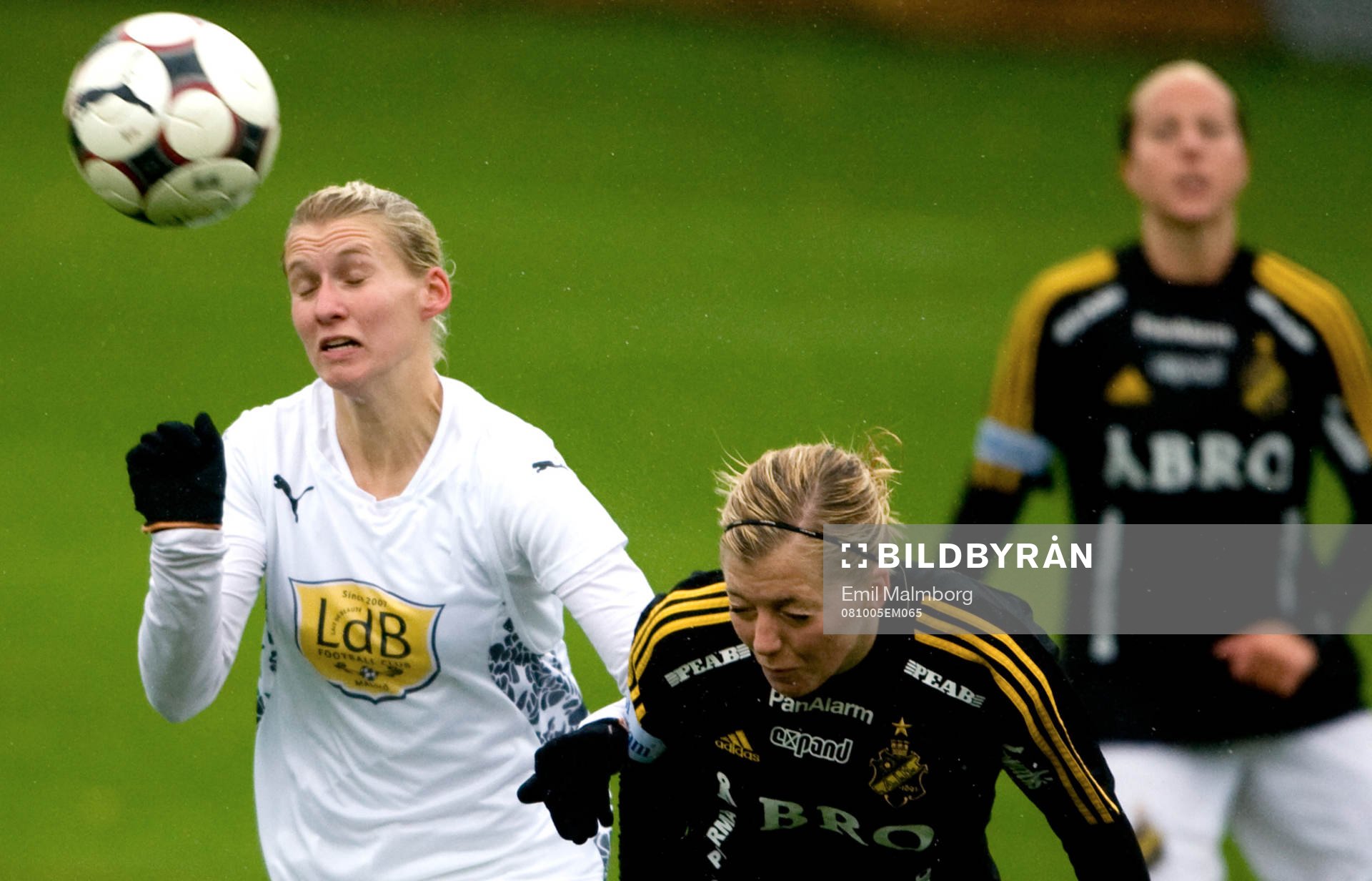 Maria Aronsson, LDB