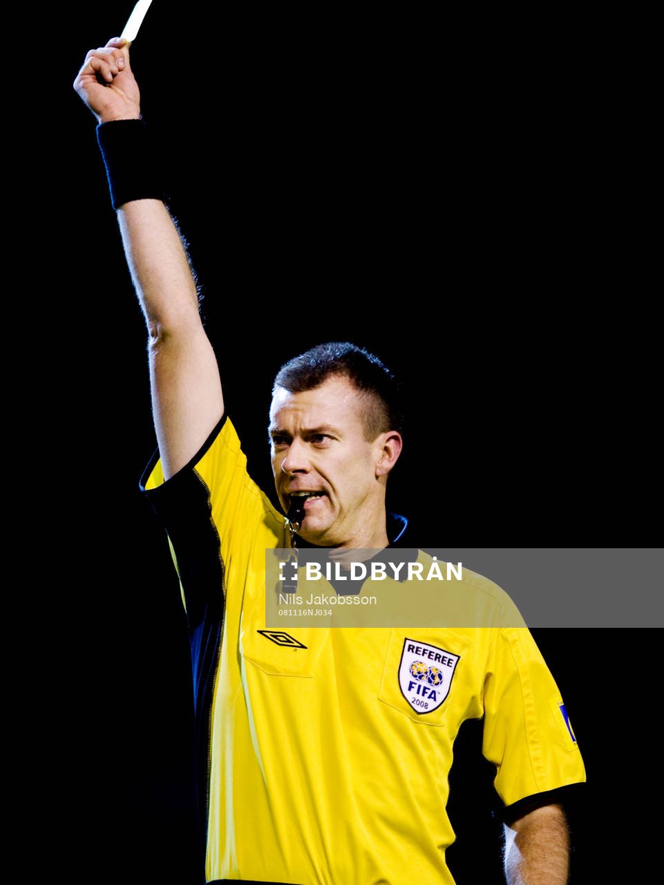 Daniel Stålhammar, domare