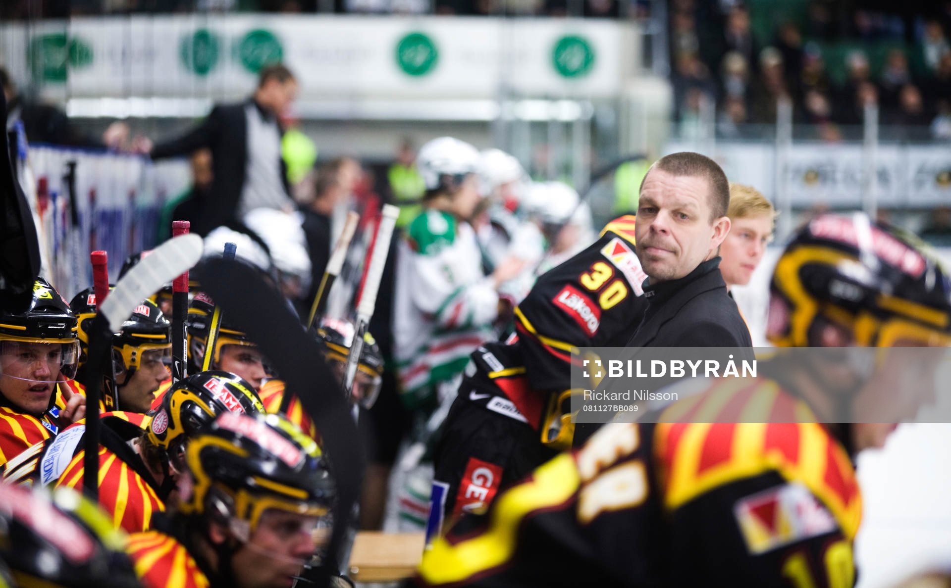 Niklas Czarnecki, tränare, Brynäs