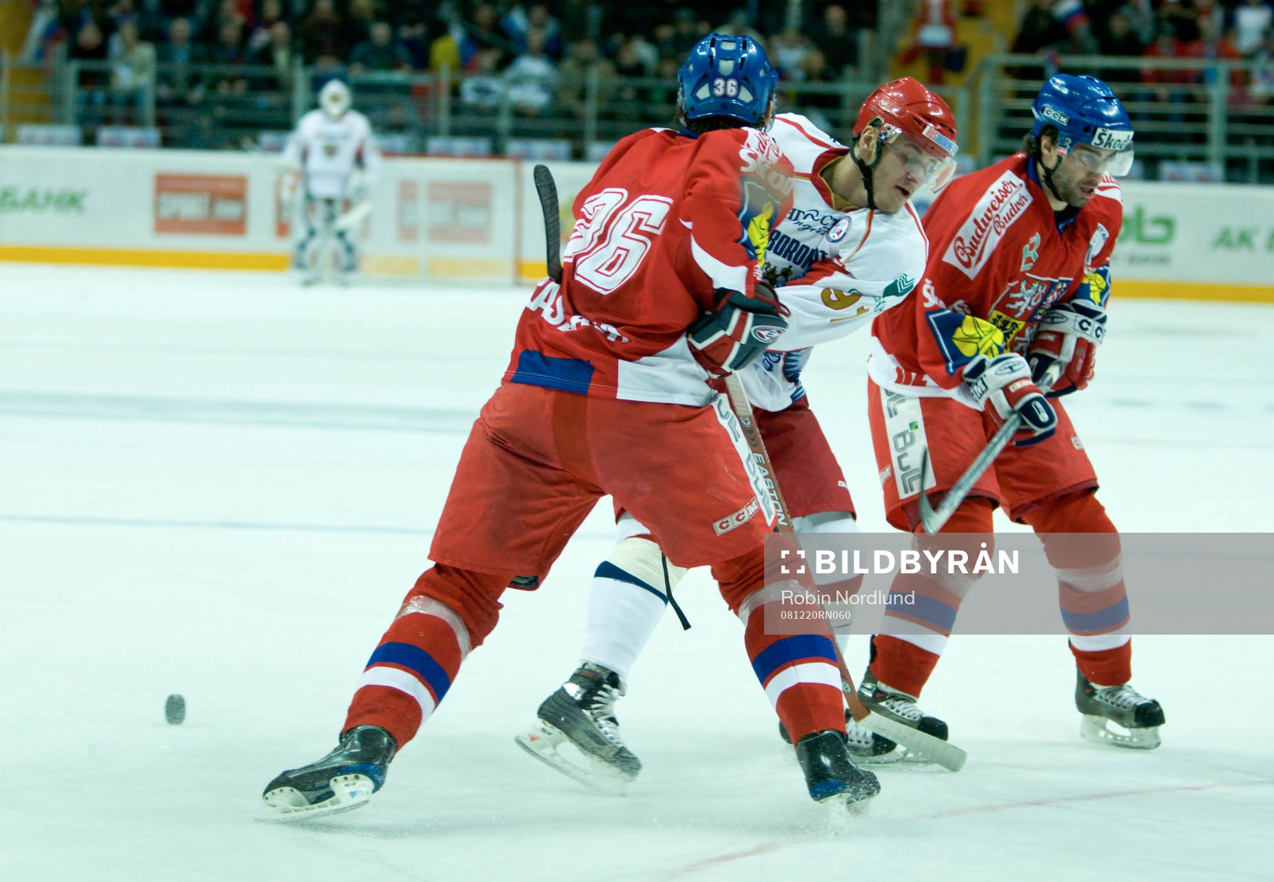 Oleg Saprykin, Ryssland mot Petr Caslava, Tjeckien