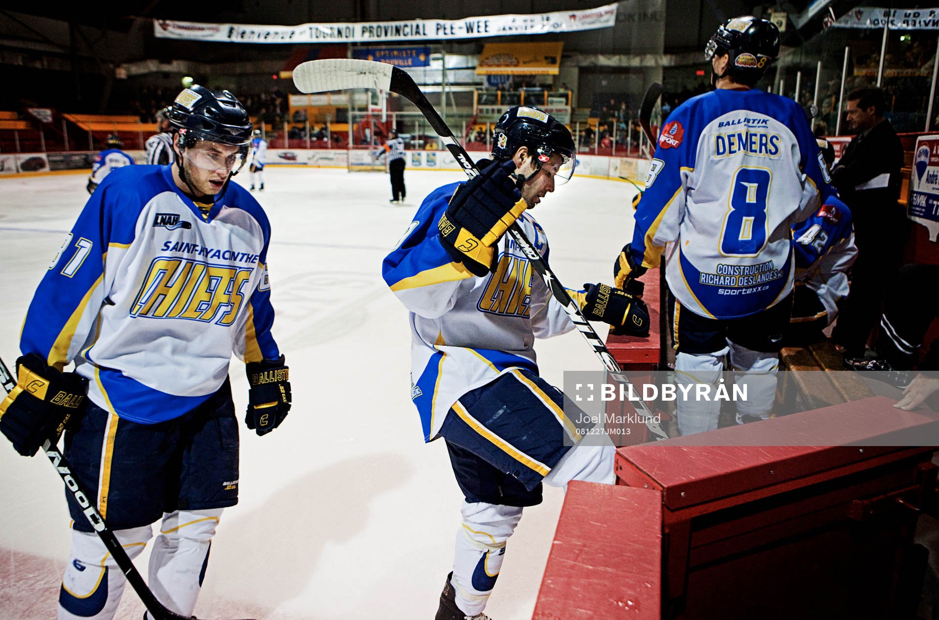 Ishockey, LNAH, Saint-Hyacinthe Chiefs - Thetford Mines