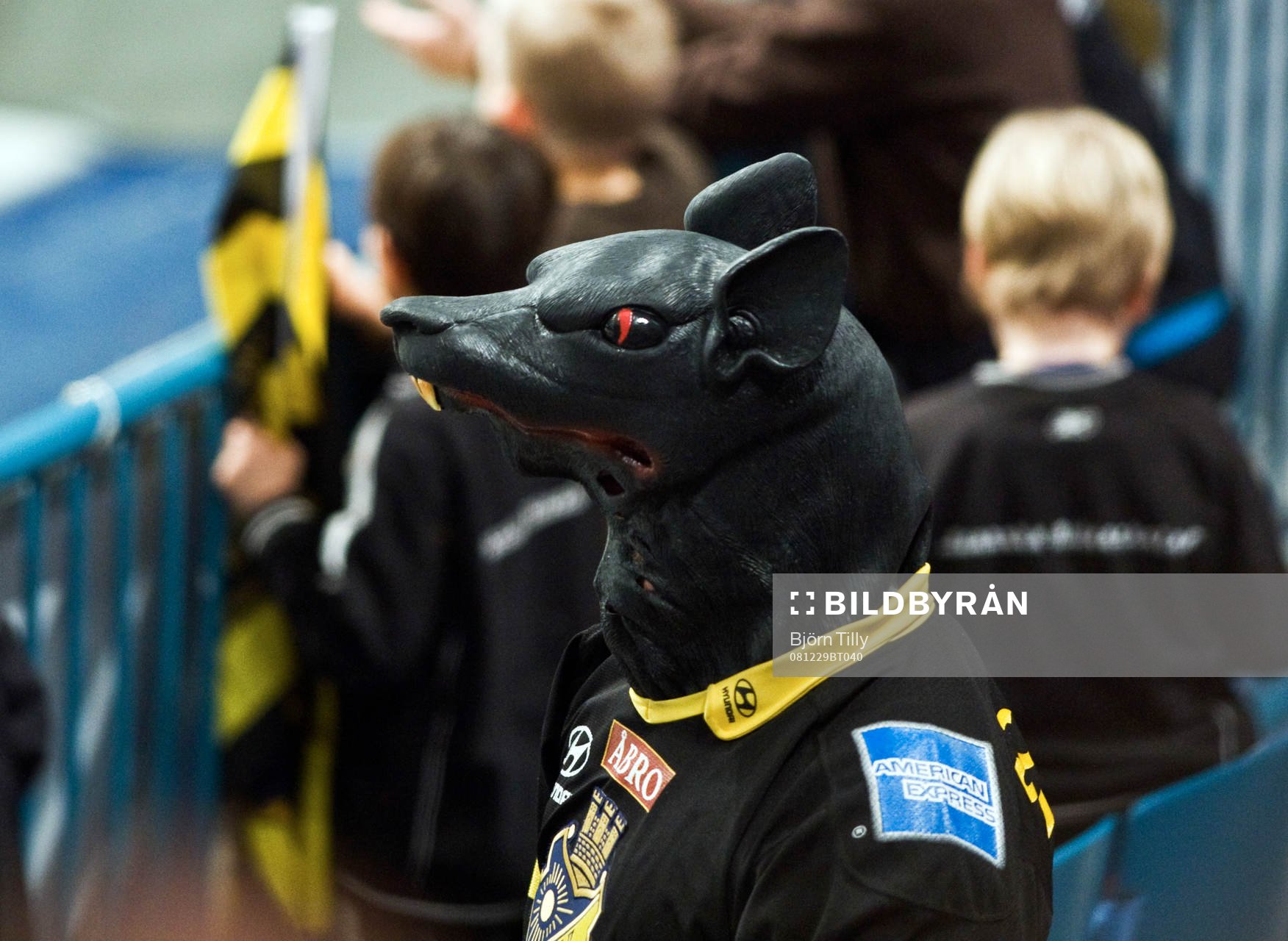 En riktig AIK råtta, supporter på läktaren  på Hovet