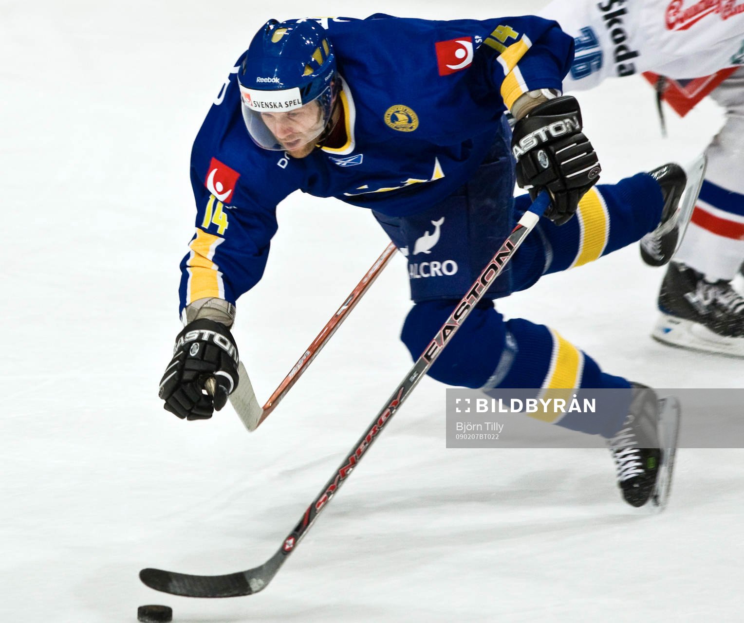 Niklas Nordgren, Sverige