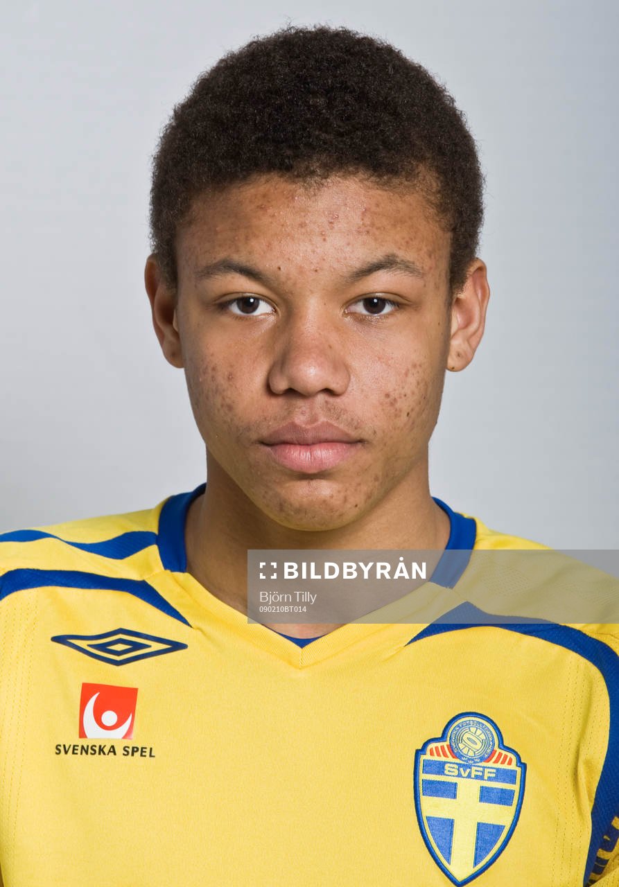 Mikael Dyrestam, Sverige
