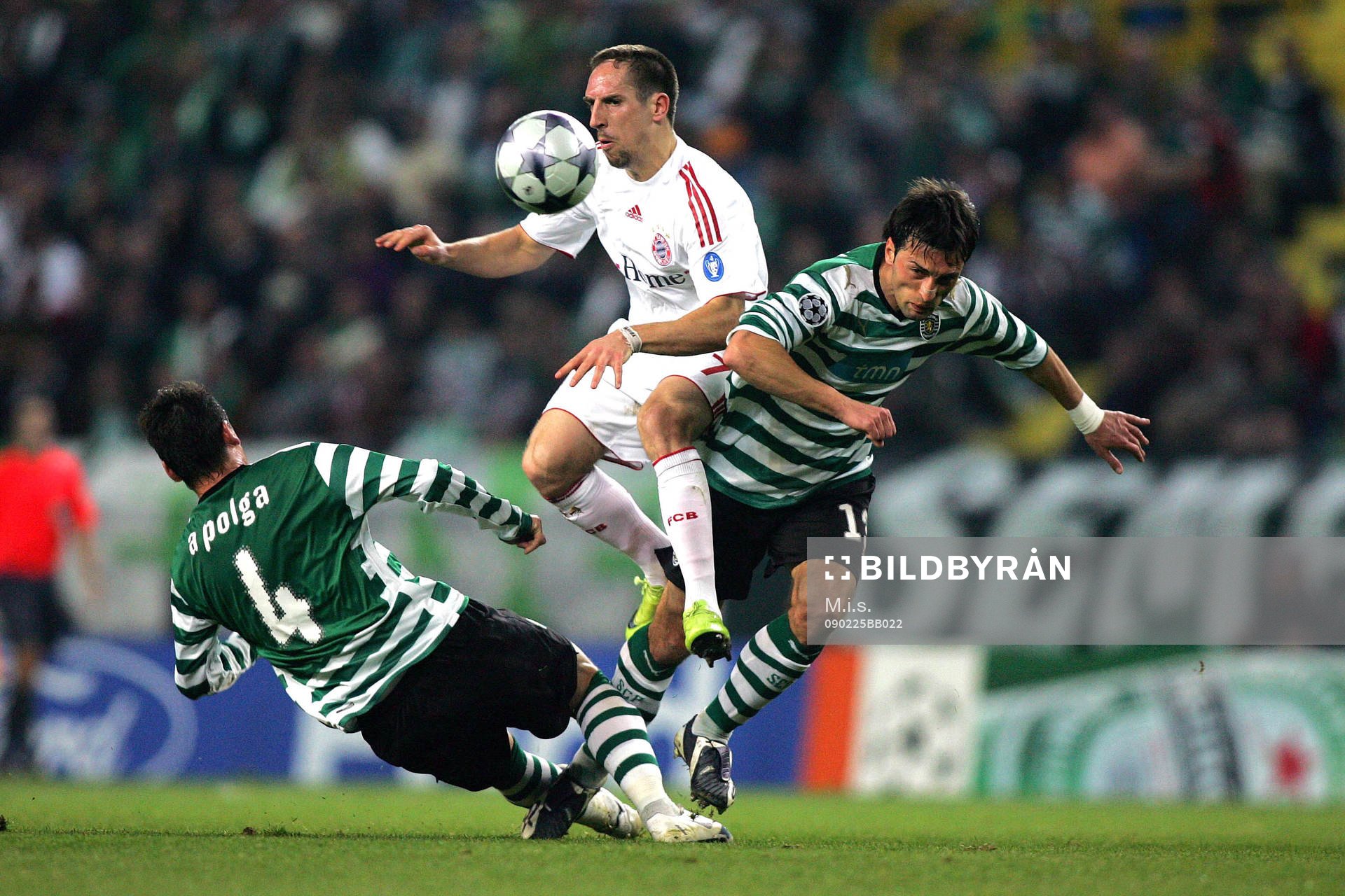 Fotboll, Champions League, Sporting Lissabon - Bayern
