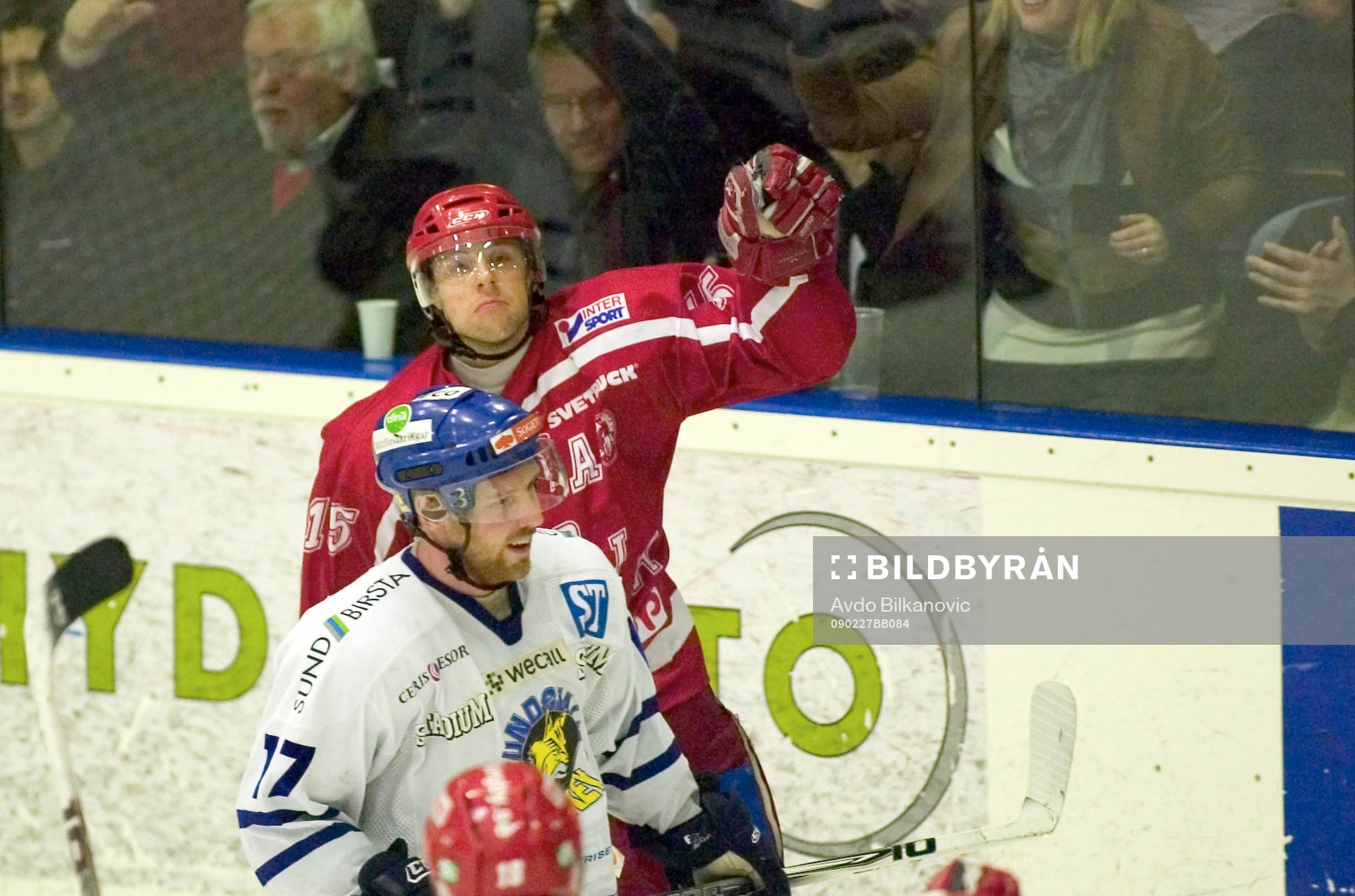 Daniel Håkansson, Troja, jubel