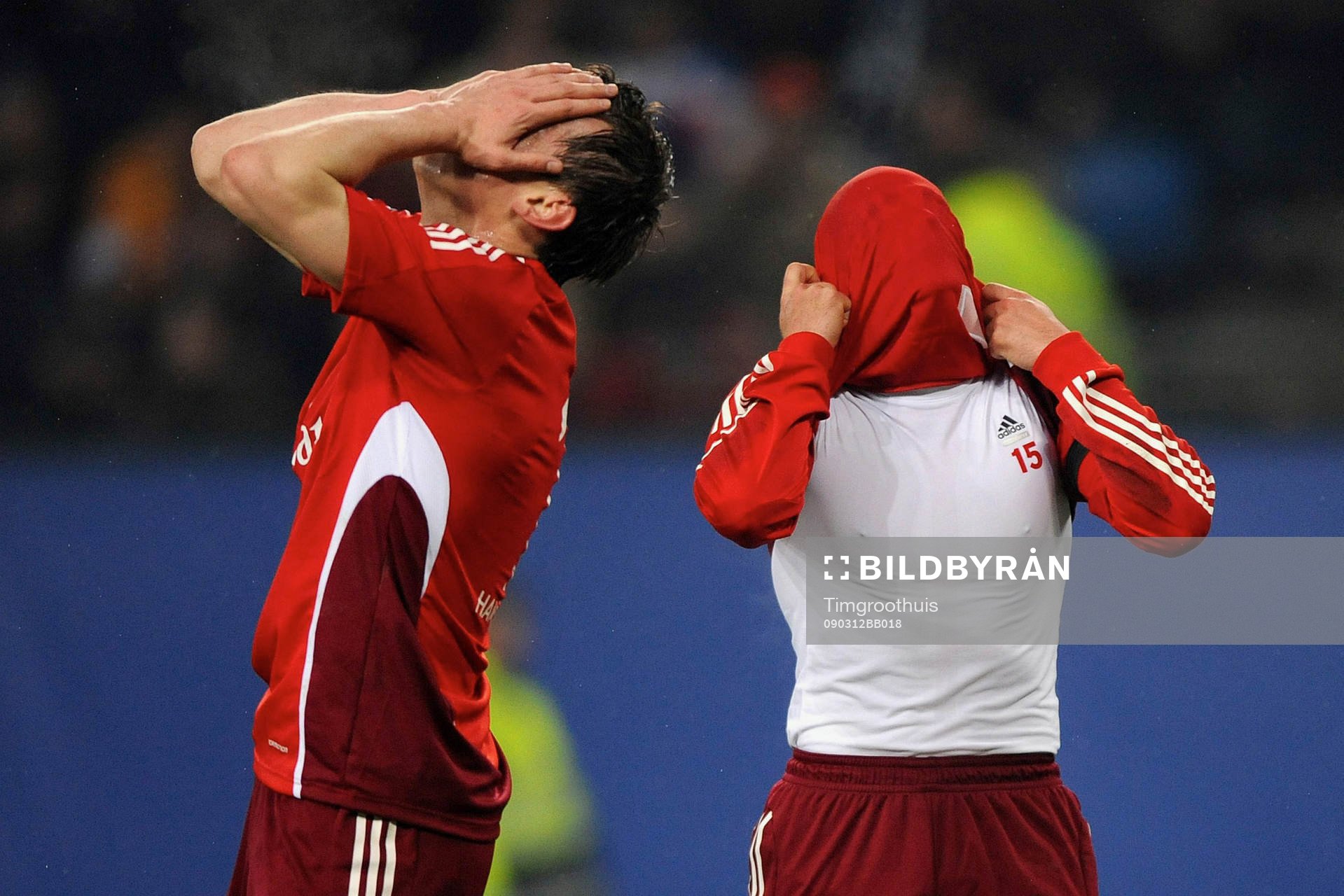Ivica Olic, Piotr Trochowski, Hamburg, depp