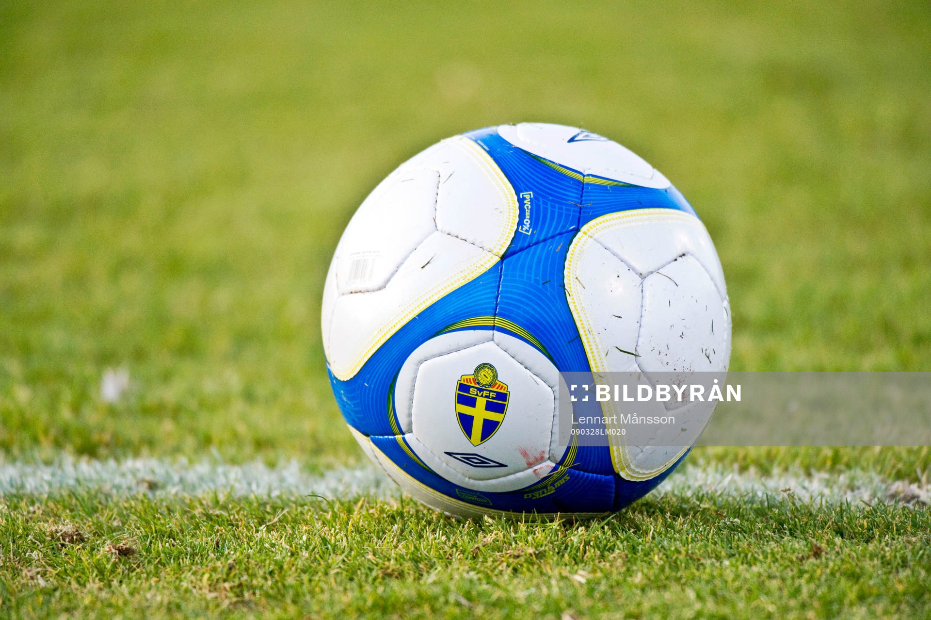 Boll, gräs, gräsplan, linje, Svenska Fotbollförbundet,