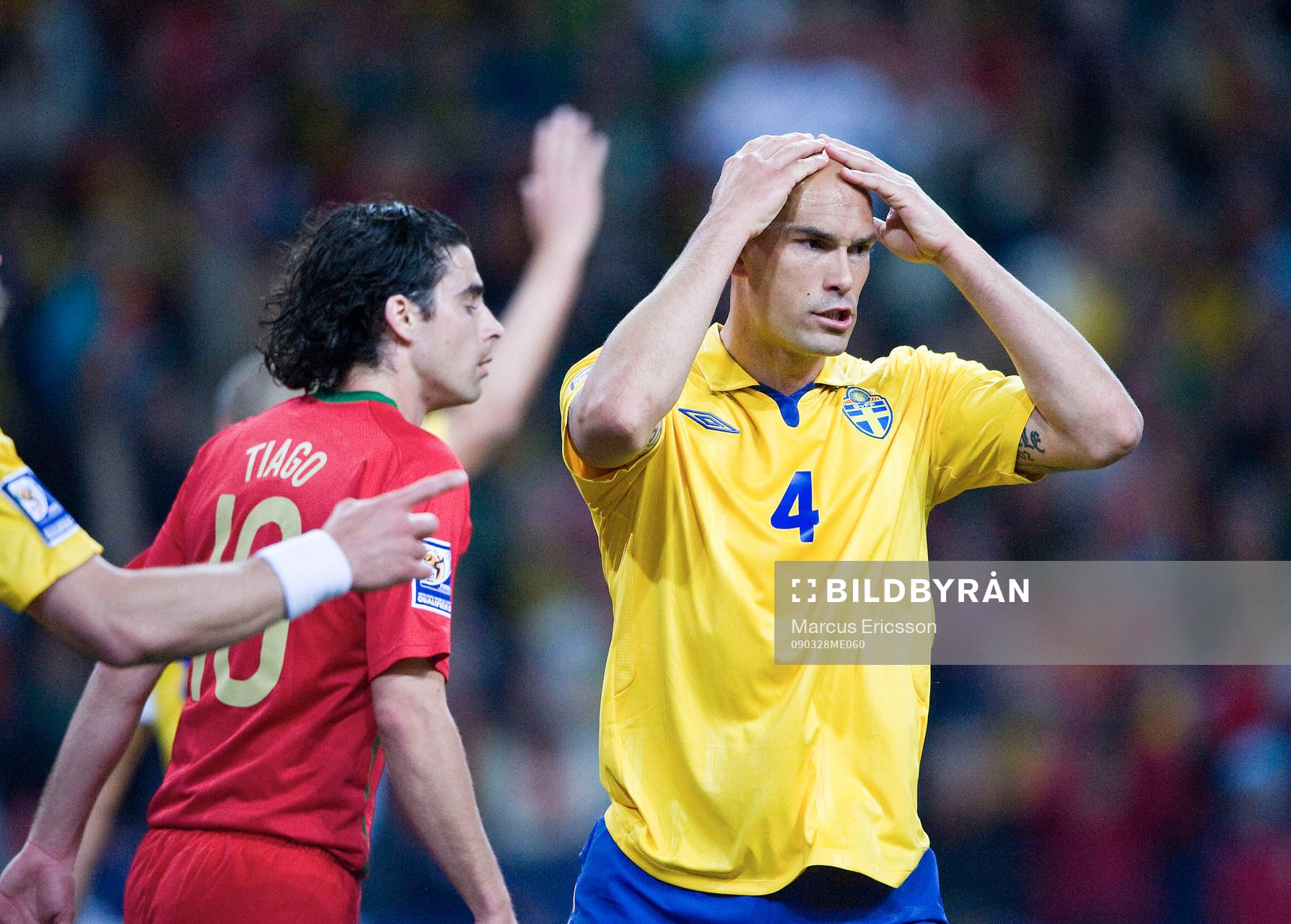 Daniel Majstorovic, Sverige