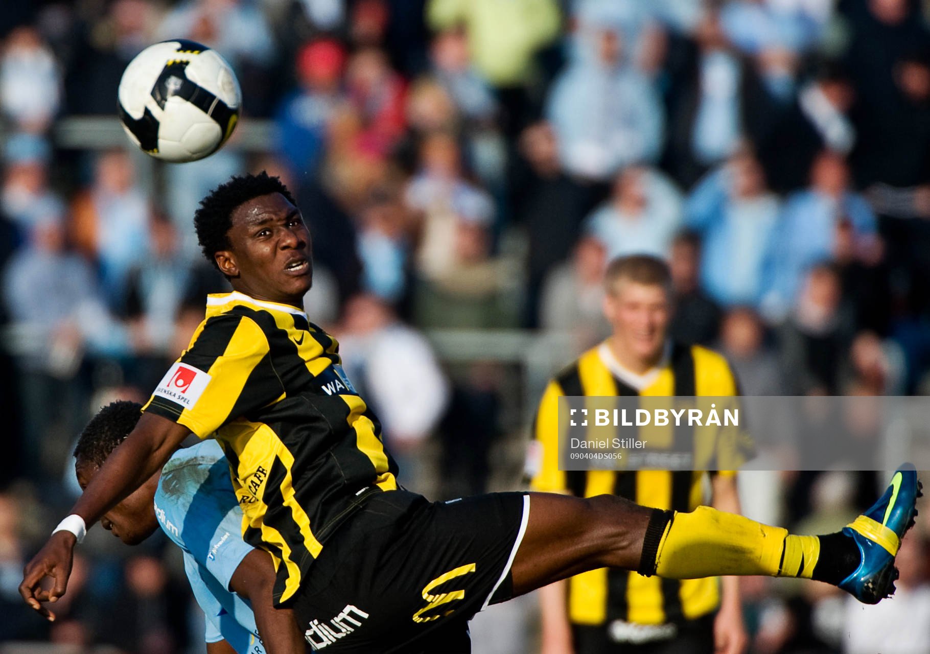 Dominic Chatto, Häcken