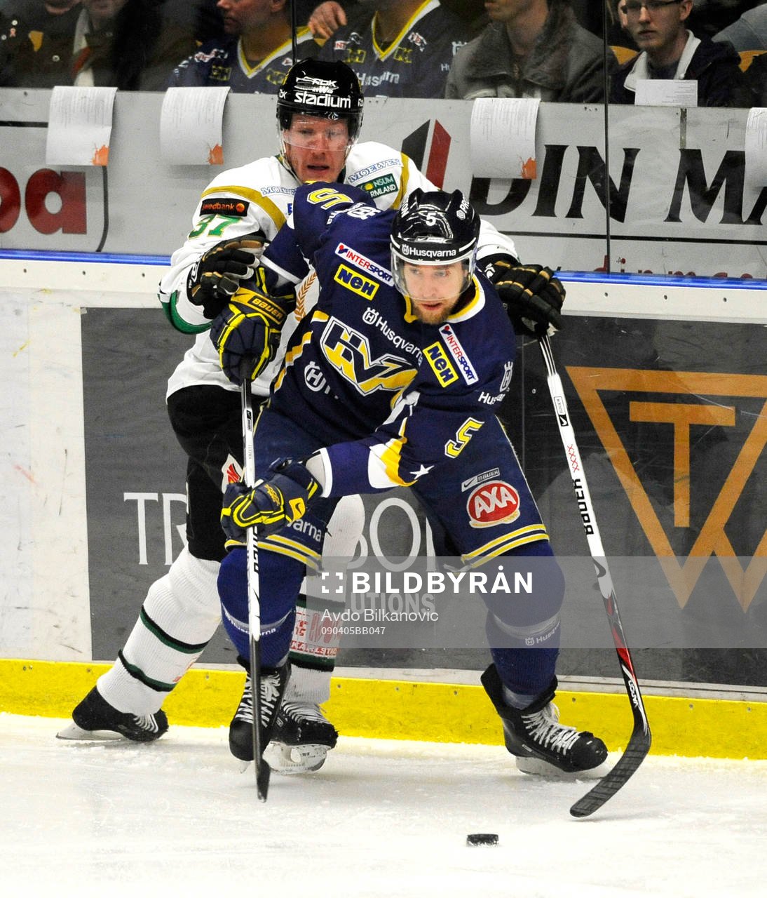 Mikko Luoma, HV71
