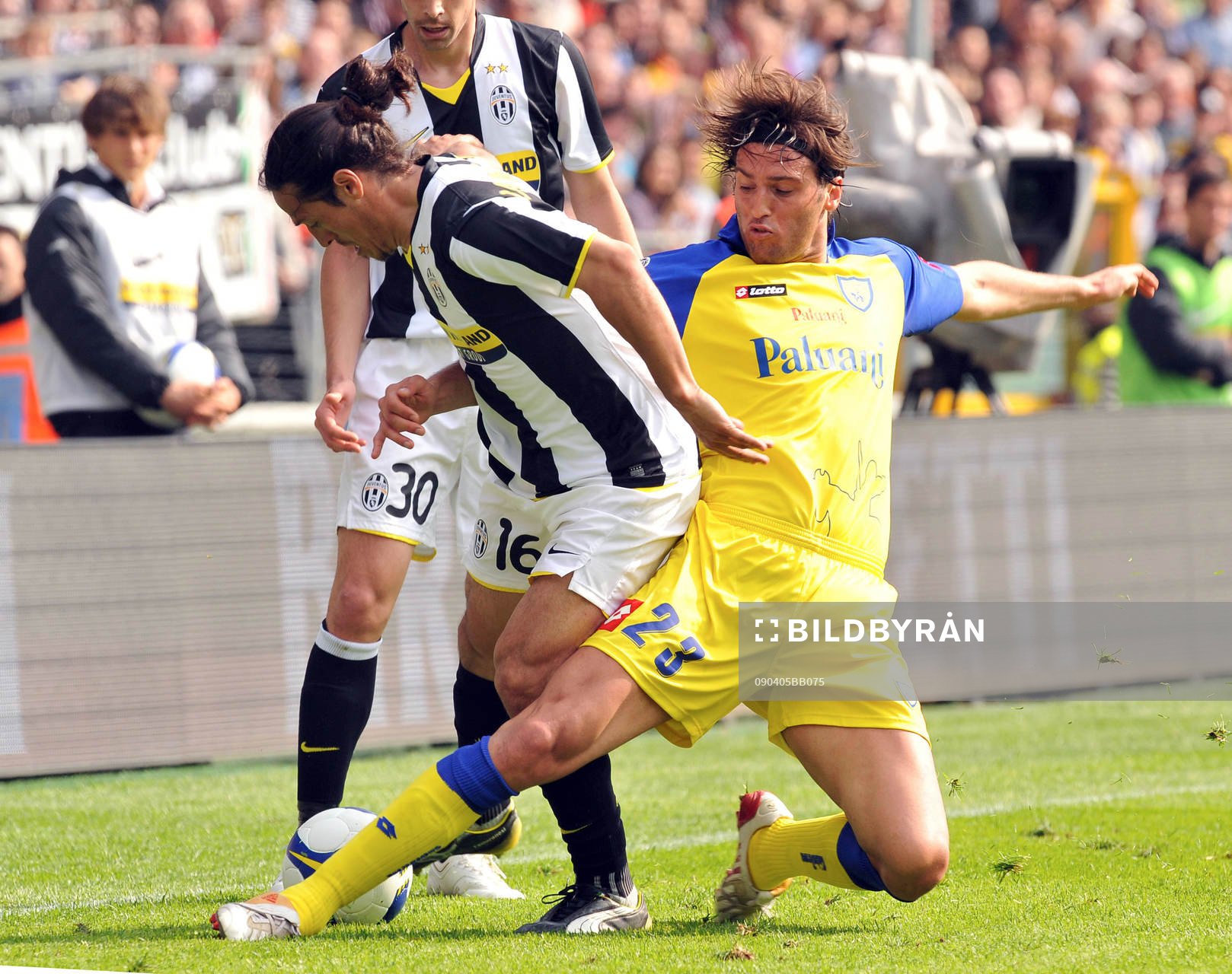 BOGDANI och CAMORANESI