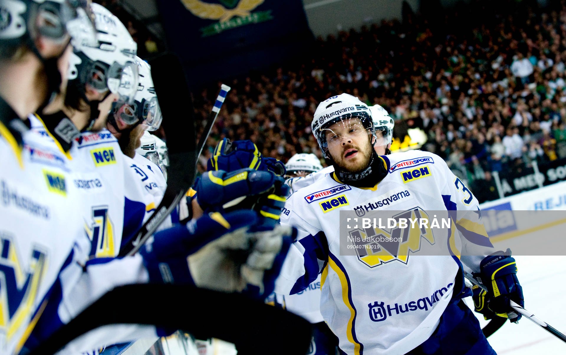 HV71 jubel i båset