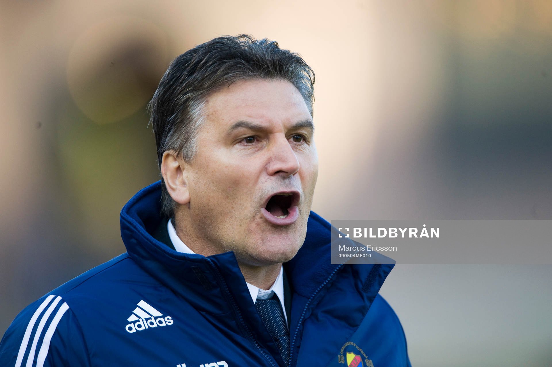 Zoran Lukic, tränare