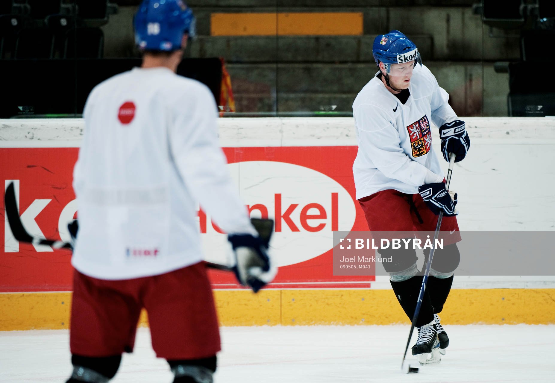 Ales Hemsky